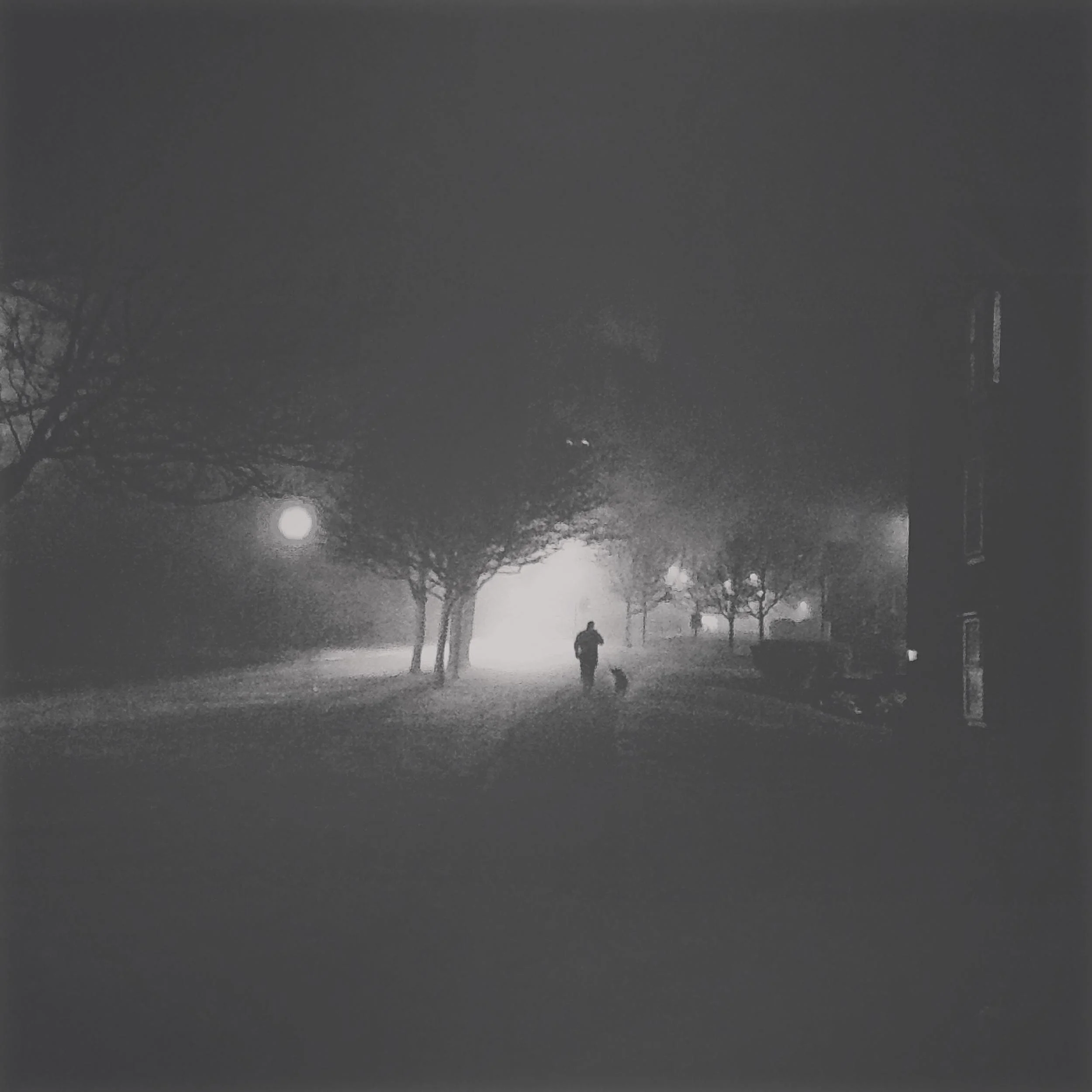A man decides to take his dog for a walk in the fog