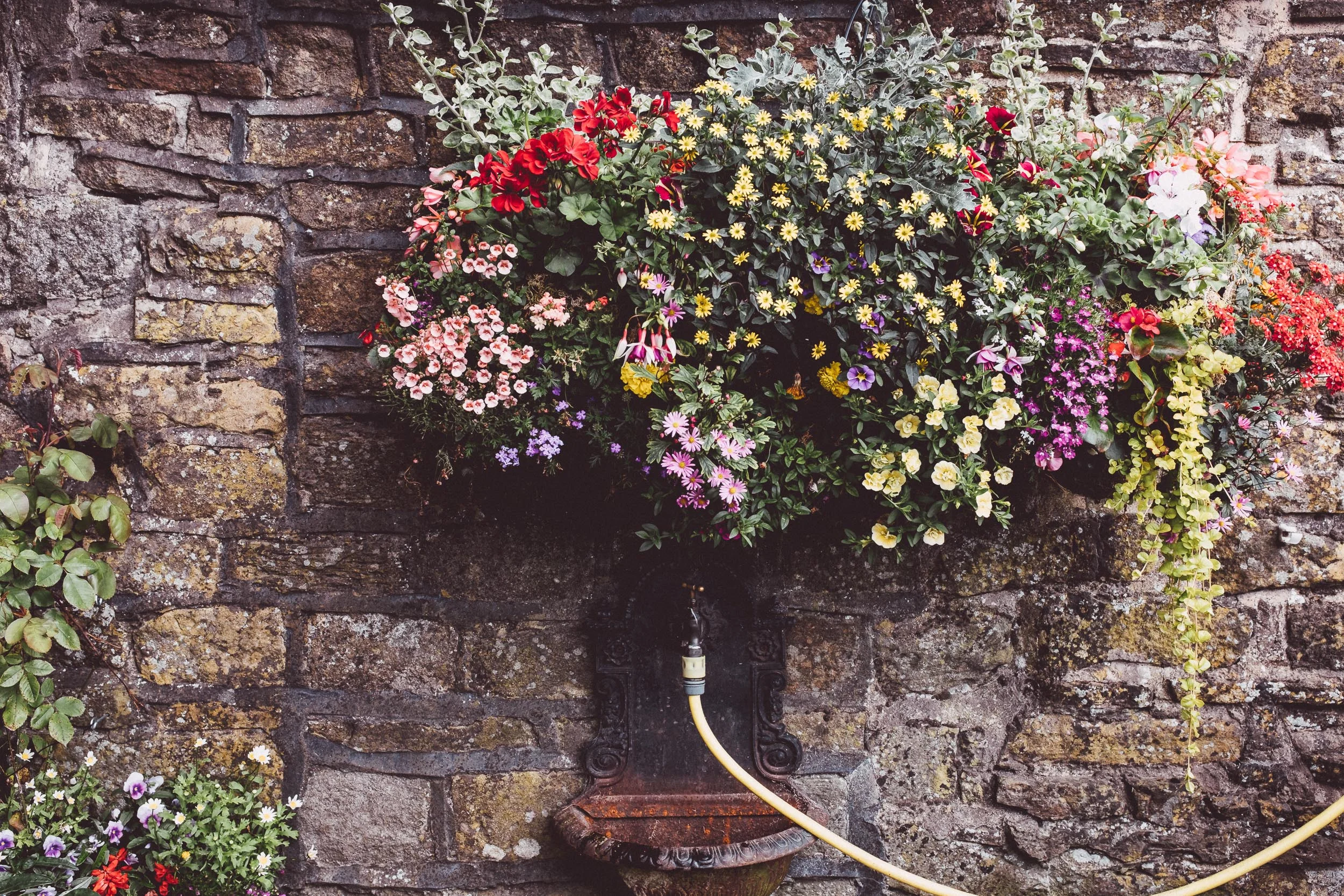 Barrel Inn flowers