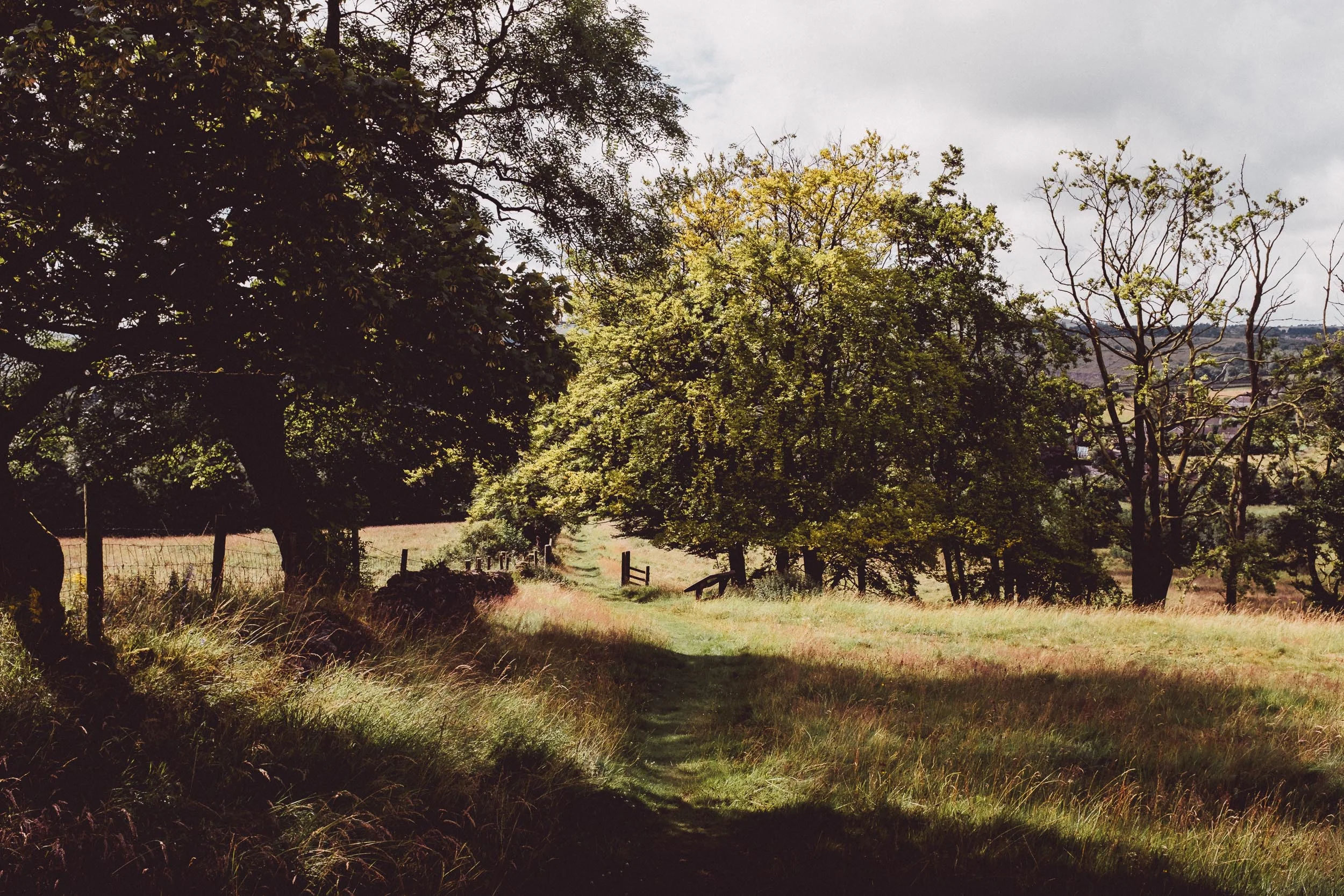 The Summer Fields