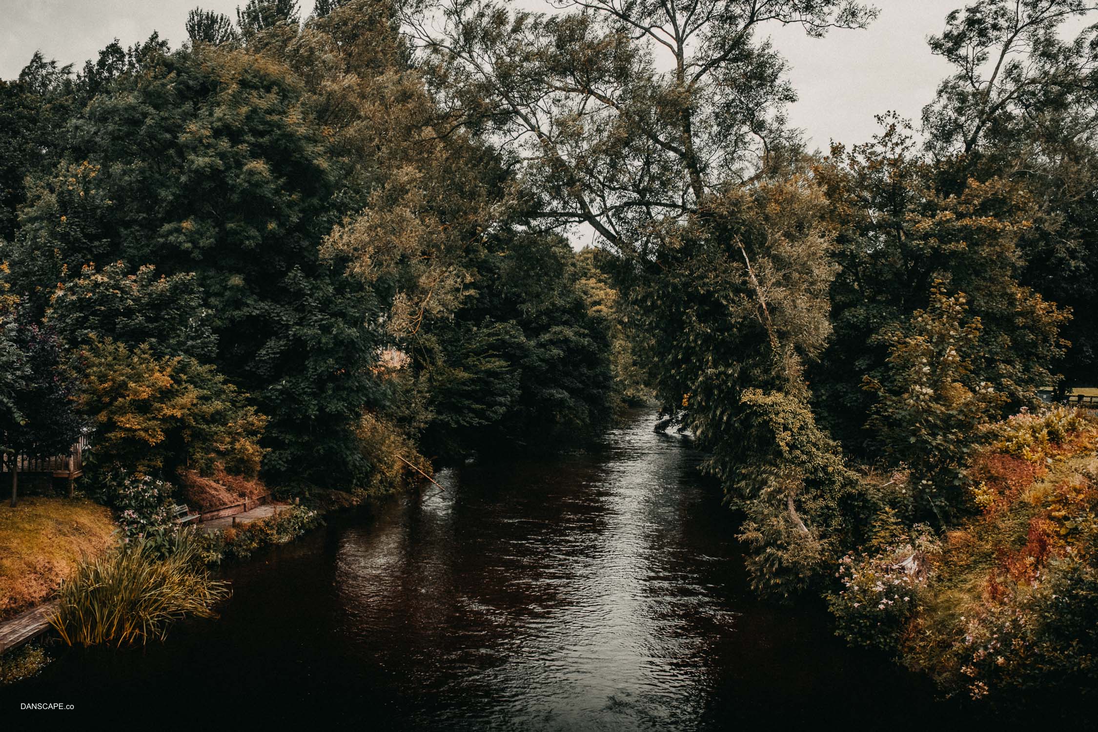 170729095322 - danscape.co.jpg