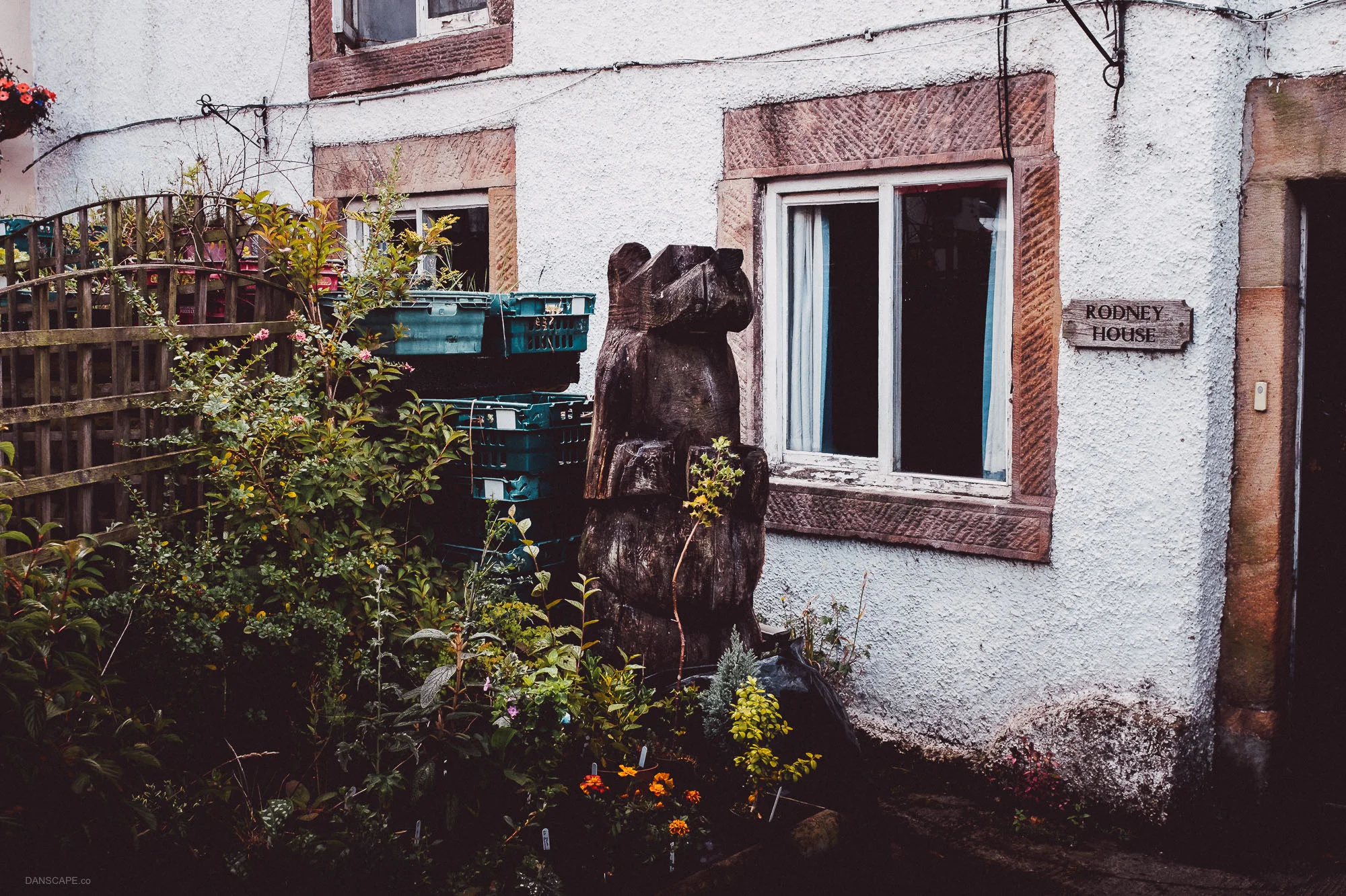 Wooden Bear at Rodney House