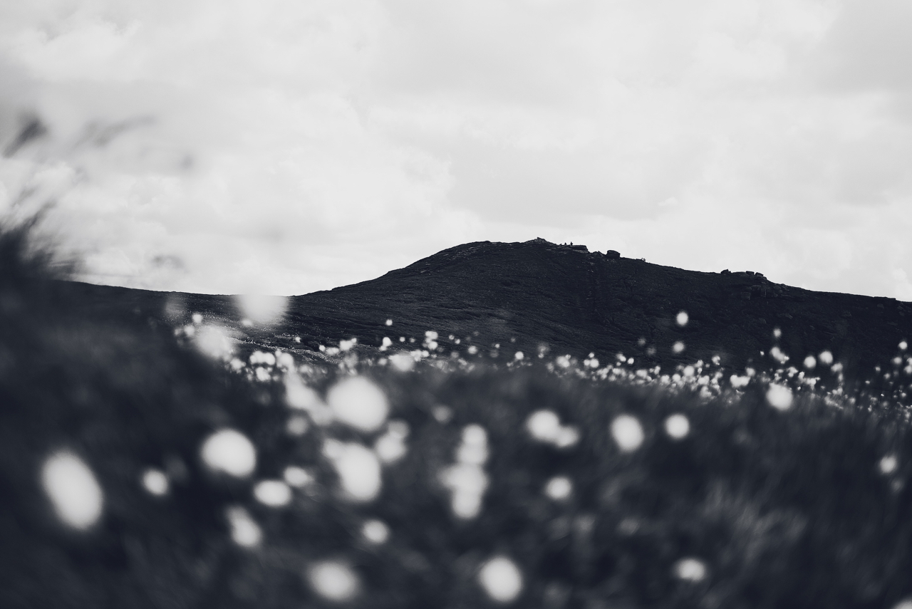 Grindslow Knoll through the cotton grass moors.