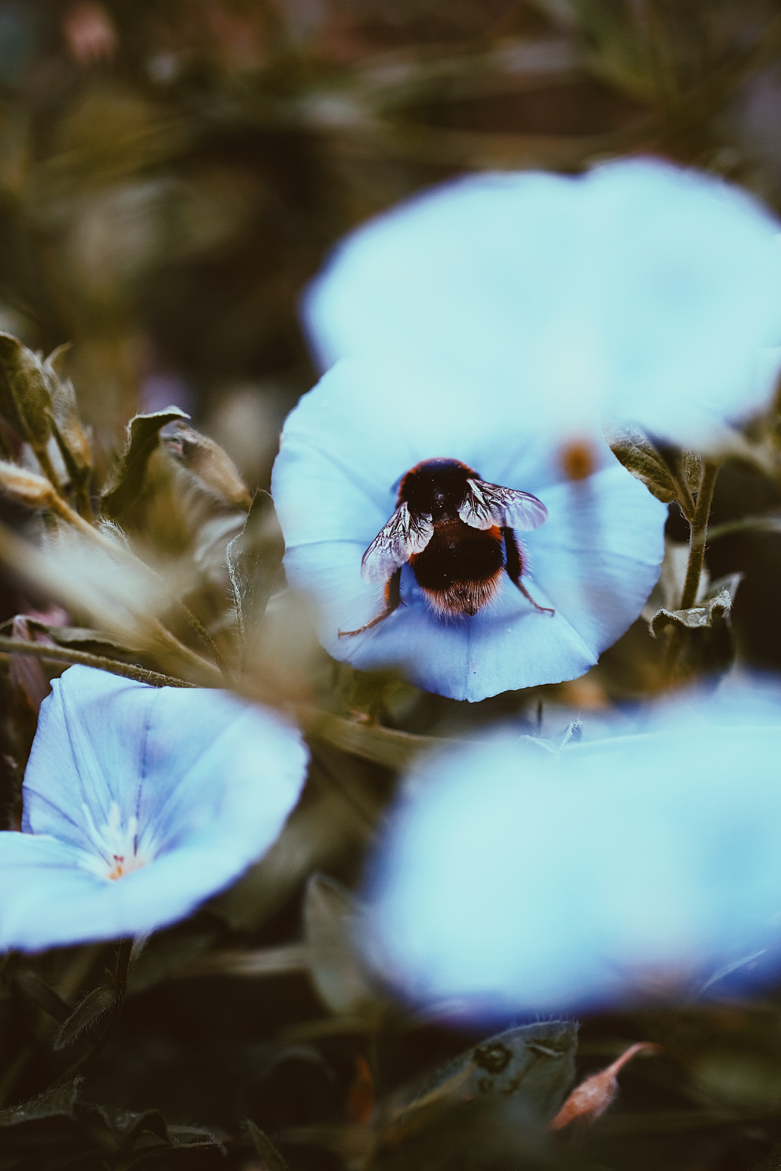 Processed with VSCO with p5 preset