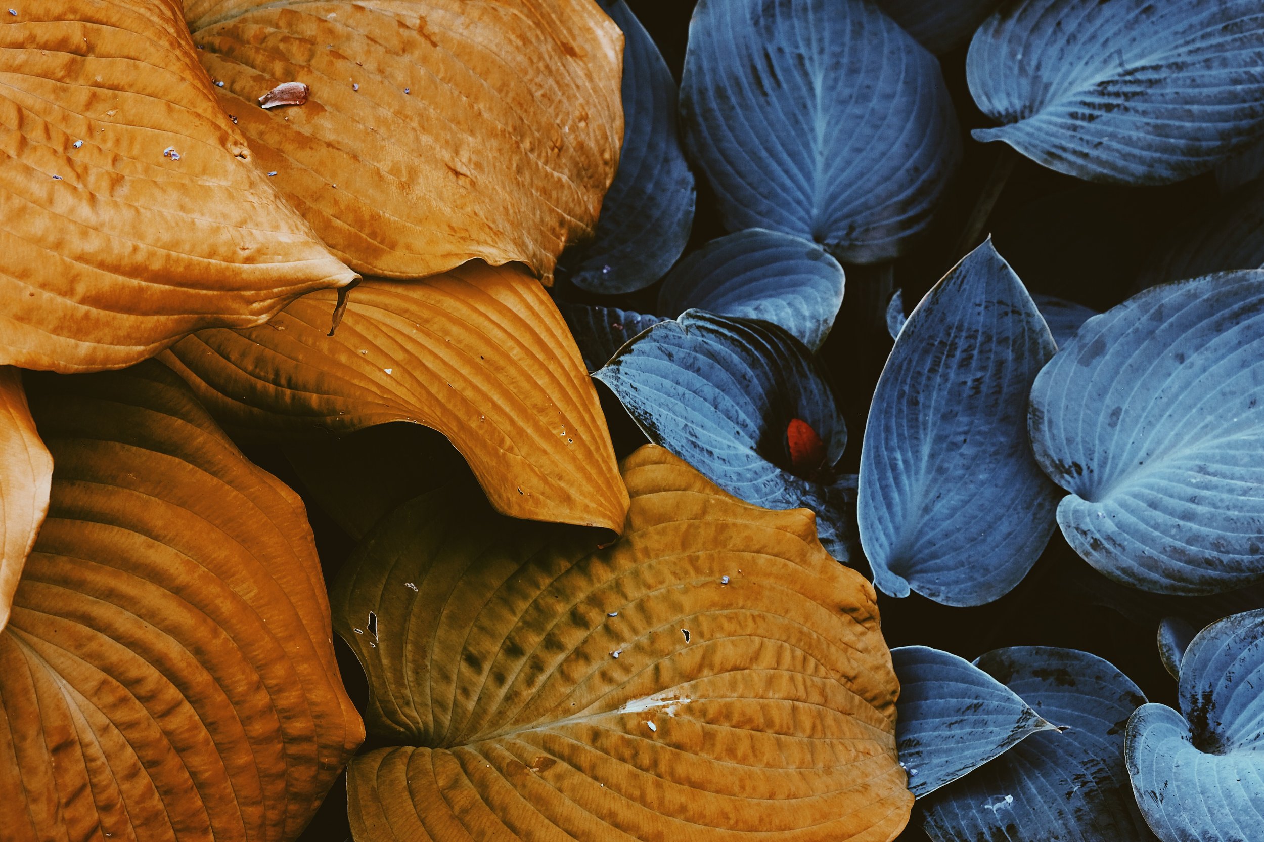 Processed with VSCO with p5 preset