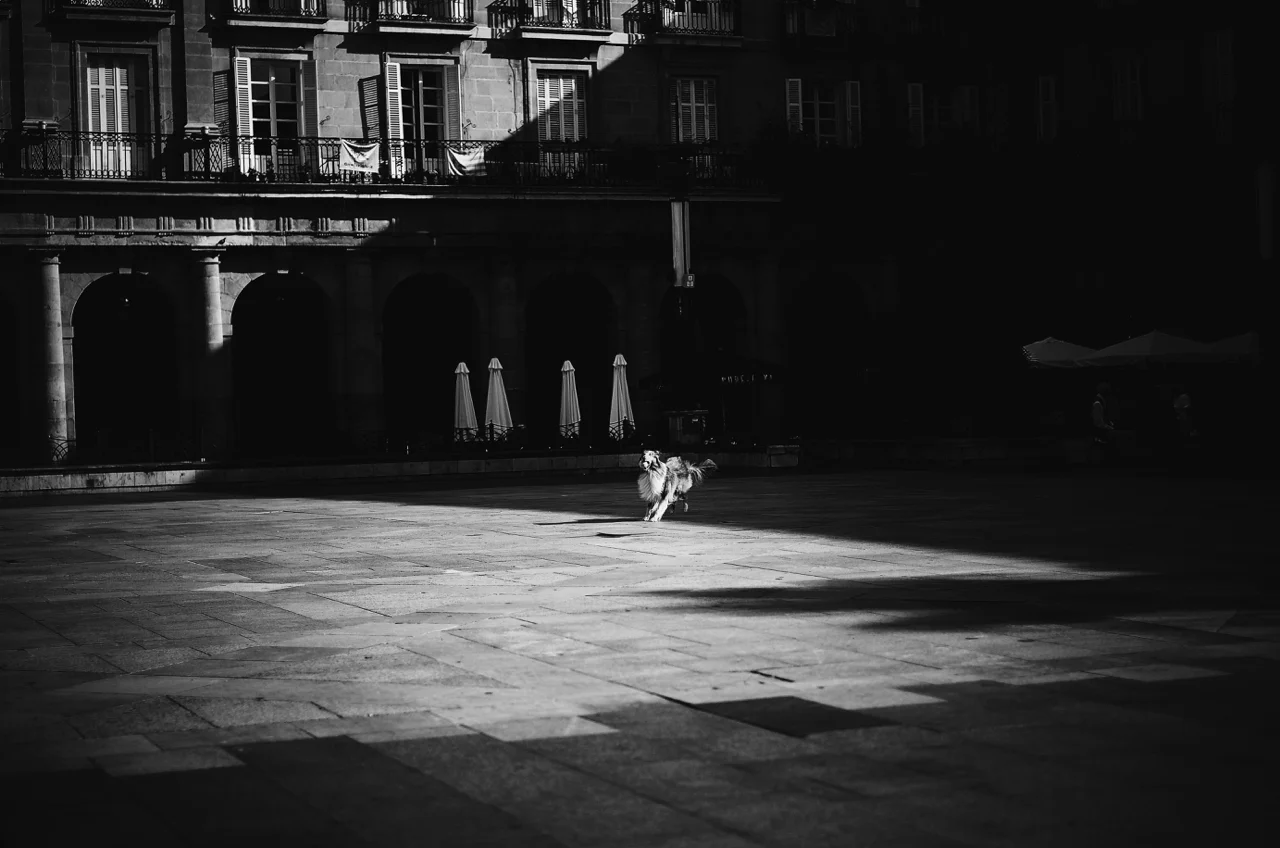 Bilbao Black & White2019-01-08 at 7.11.09 pm 10.jpg