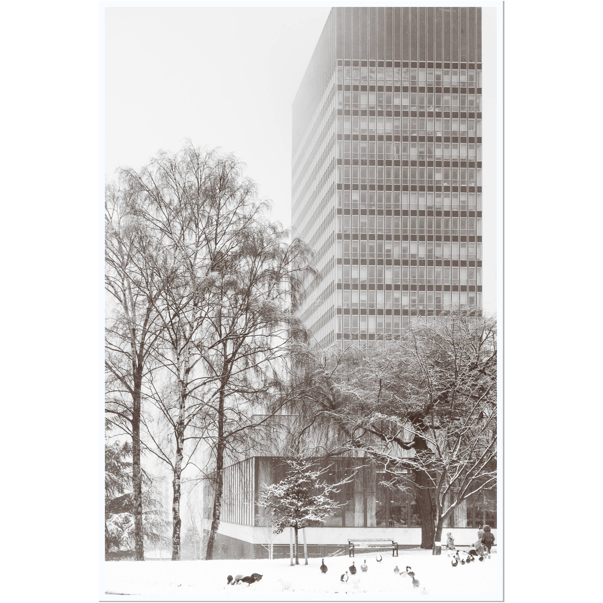 City Park in Snow
