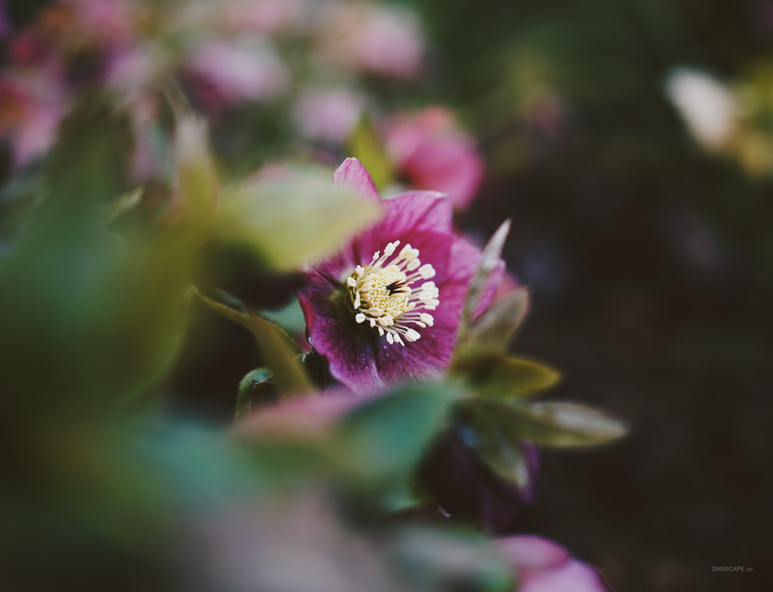 Processed with VSCO with hb2 preset