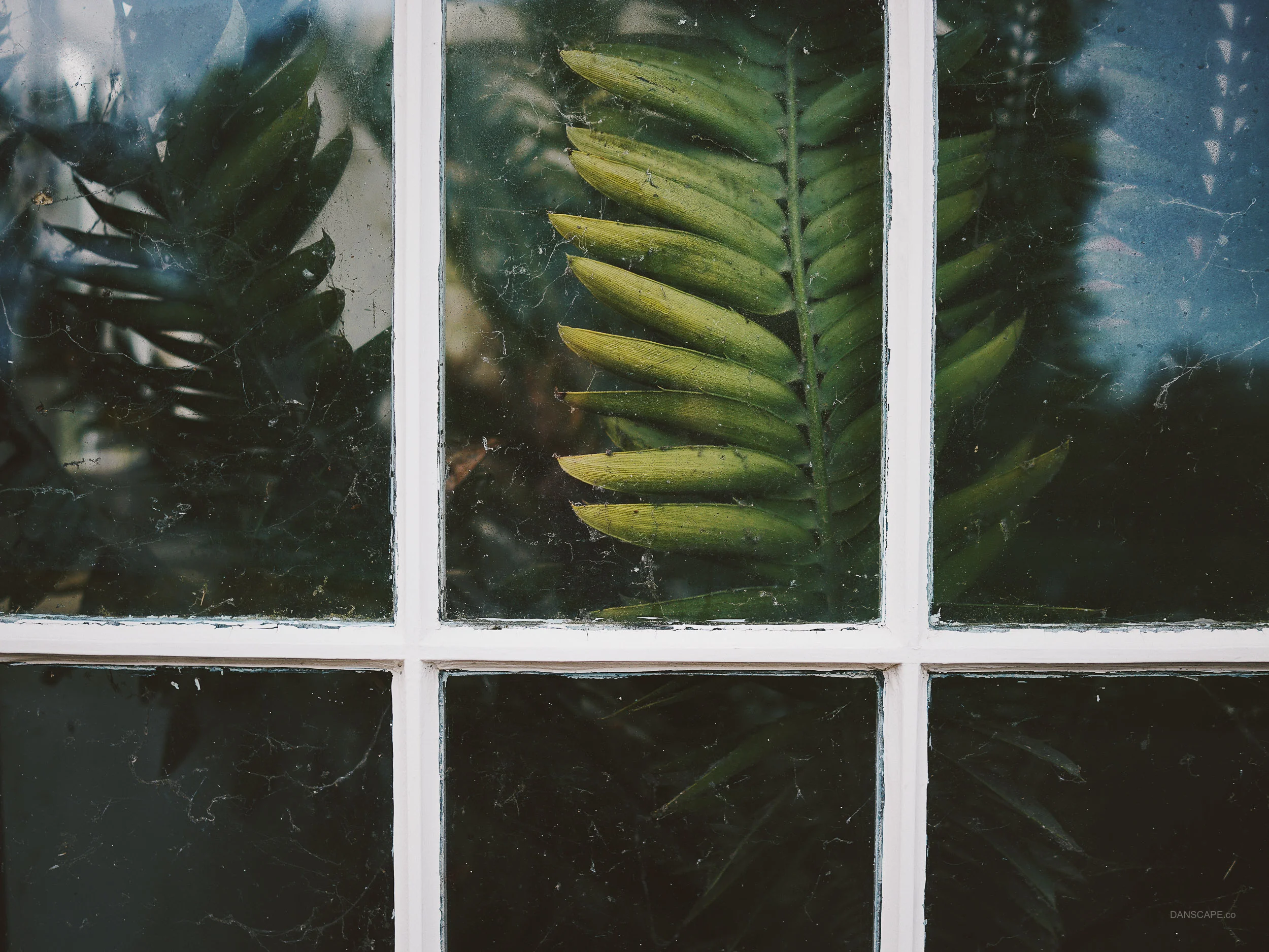 Processed with VSCO with hb2 preset