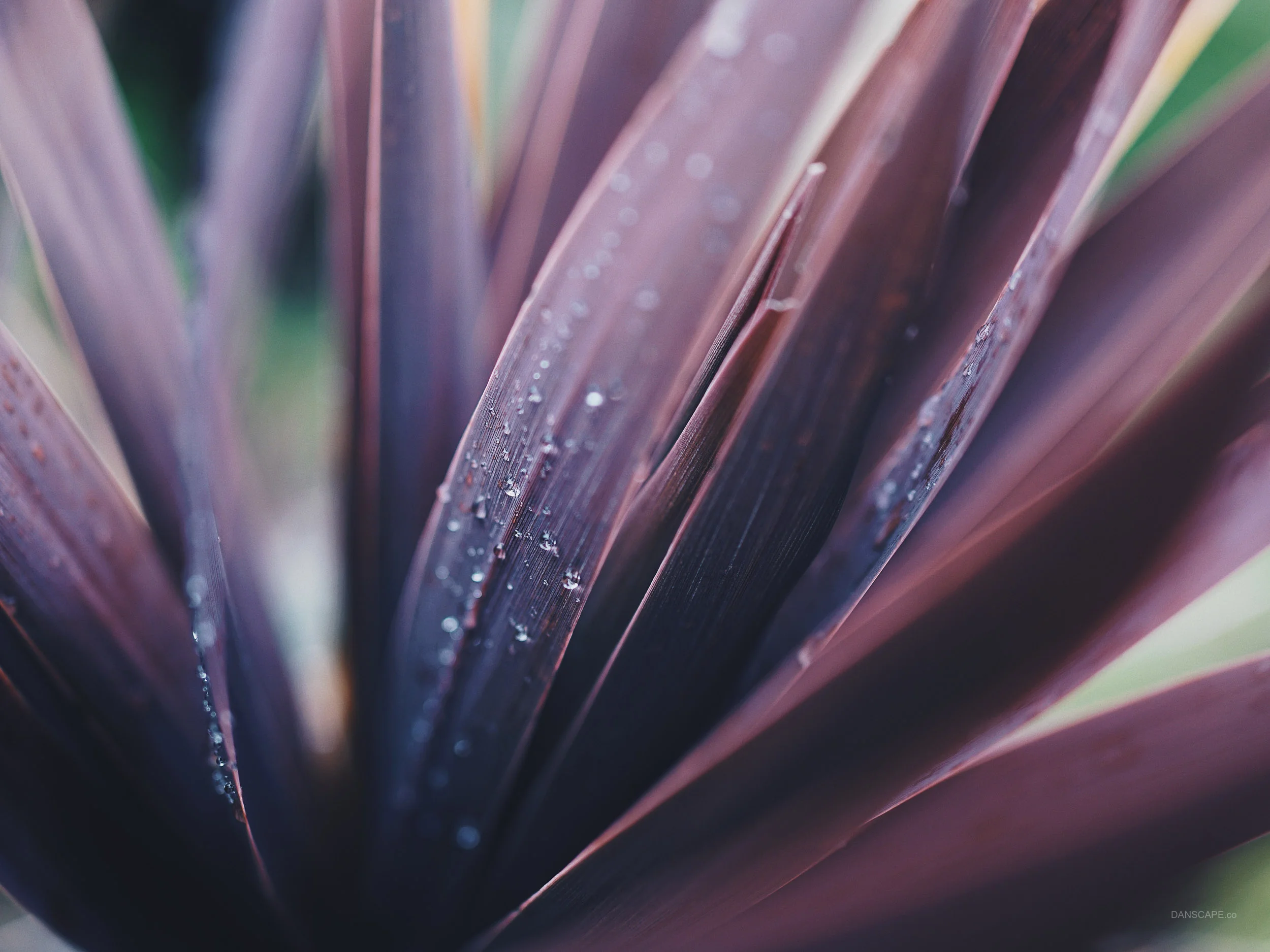 Processed with VSCO with hb2 preset