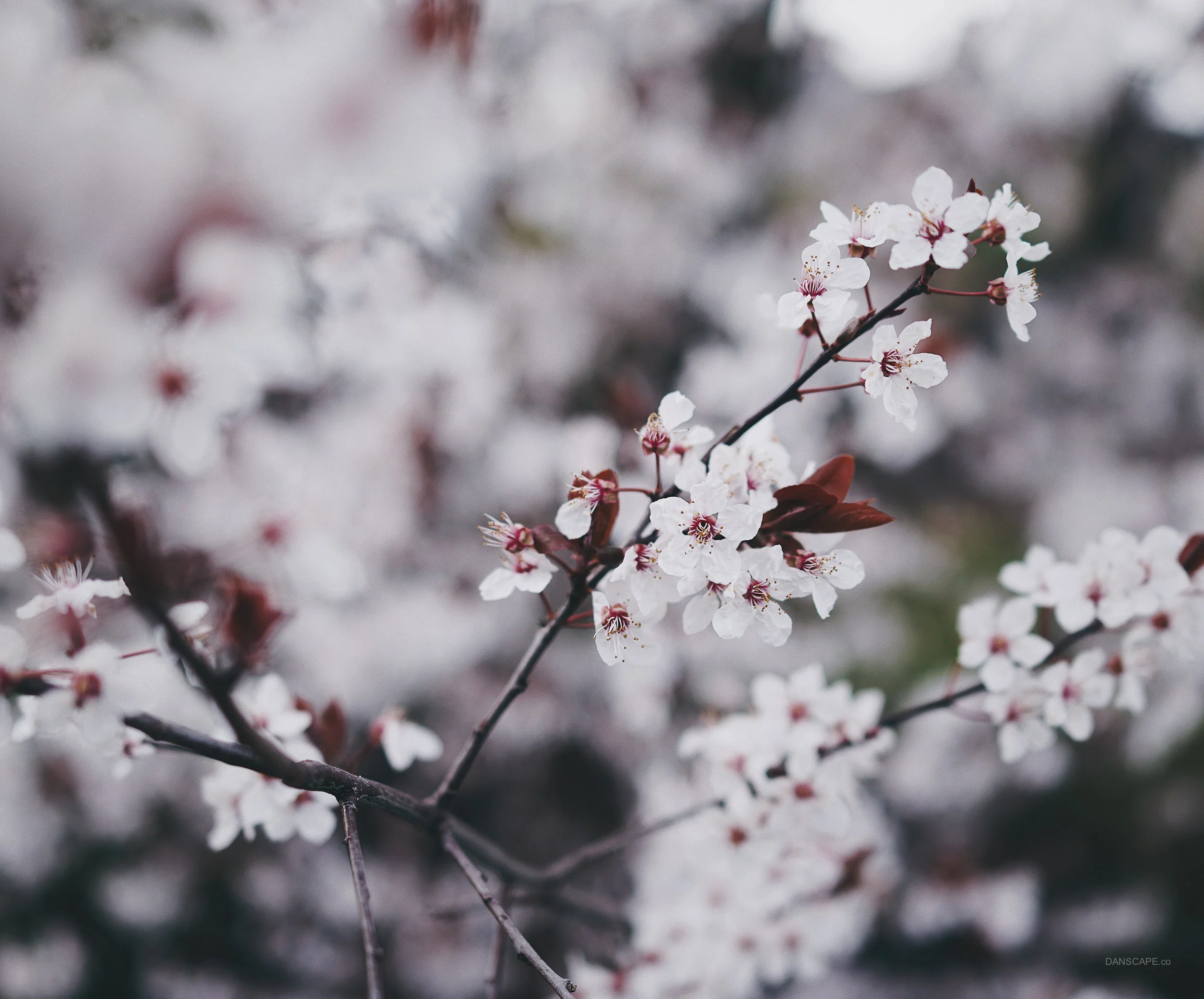Processed with VSCO with hb1 preset