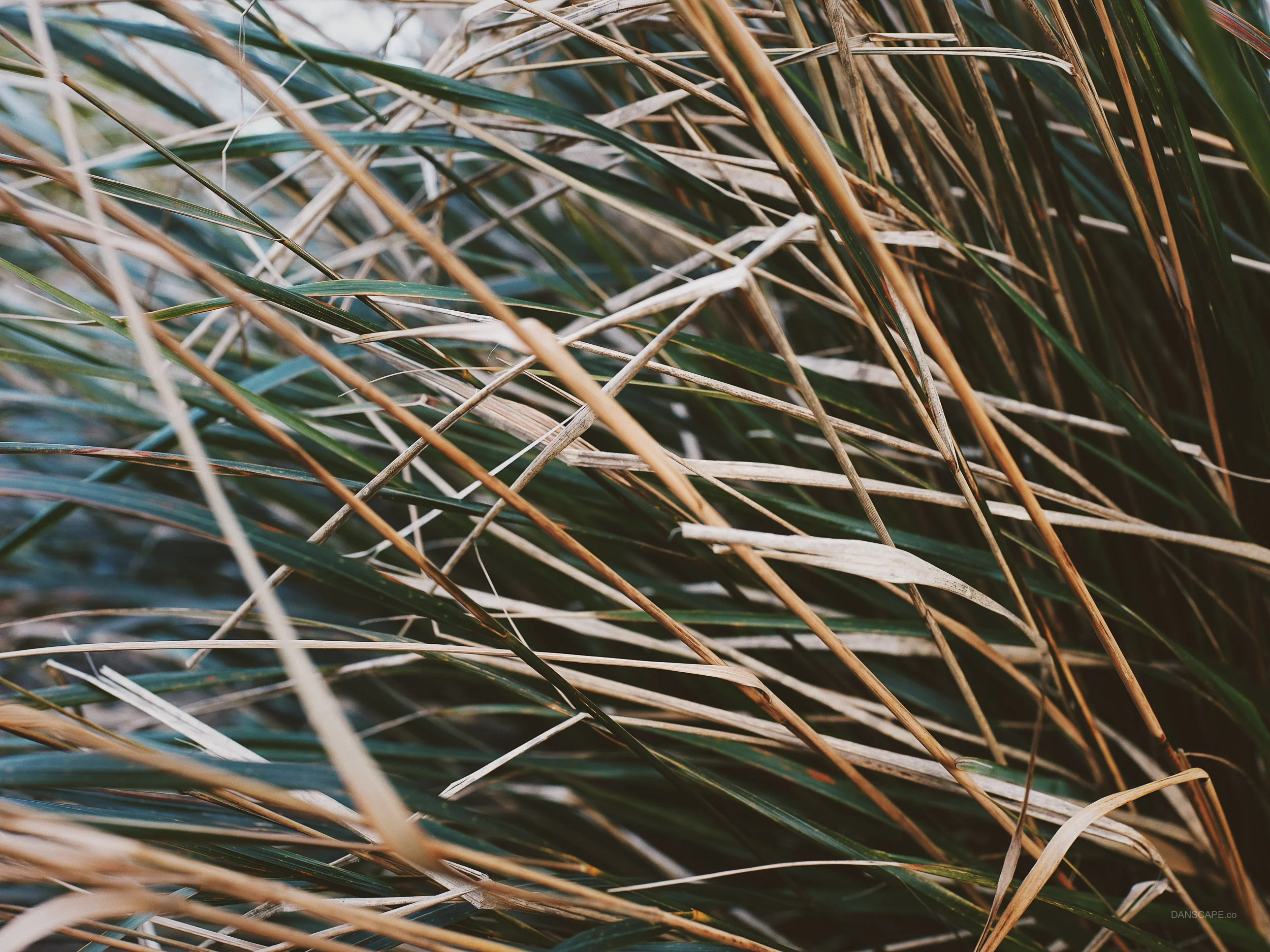 Processed with VSCO with hb2 preset