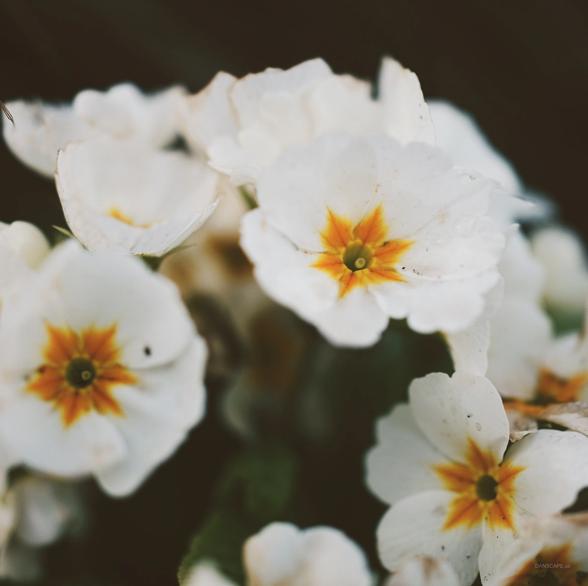 Processed with VSCO with hb2 preset