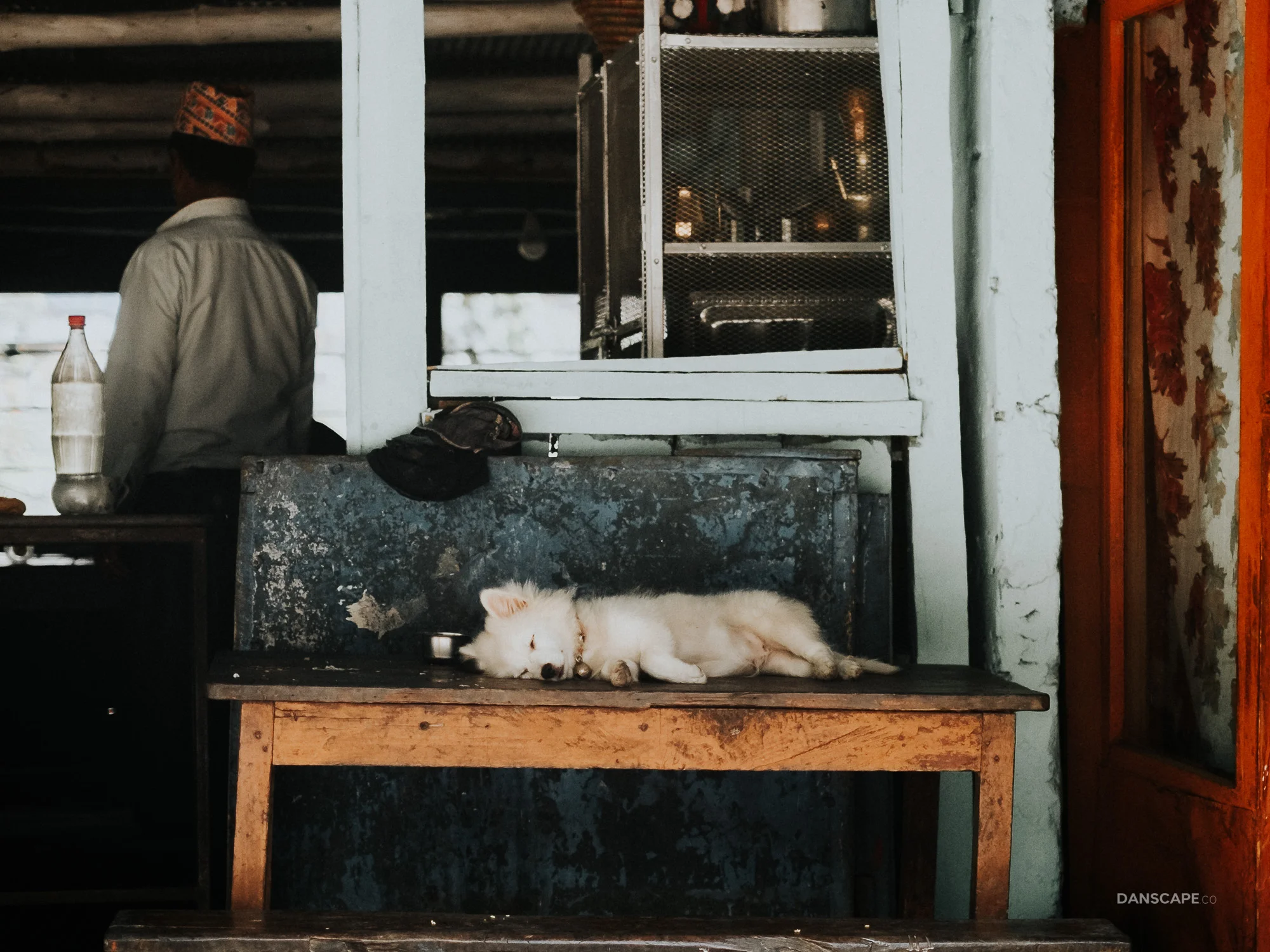 Sleeping White Dog in Bhulbhule