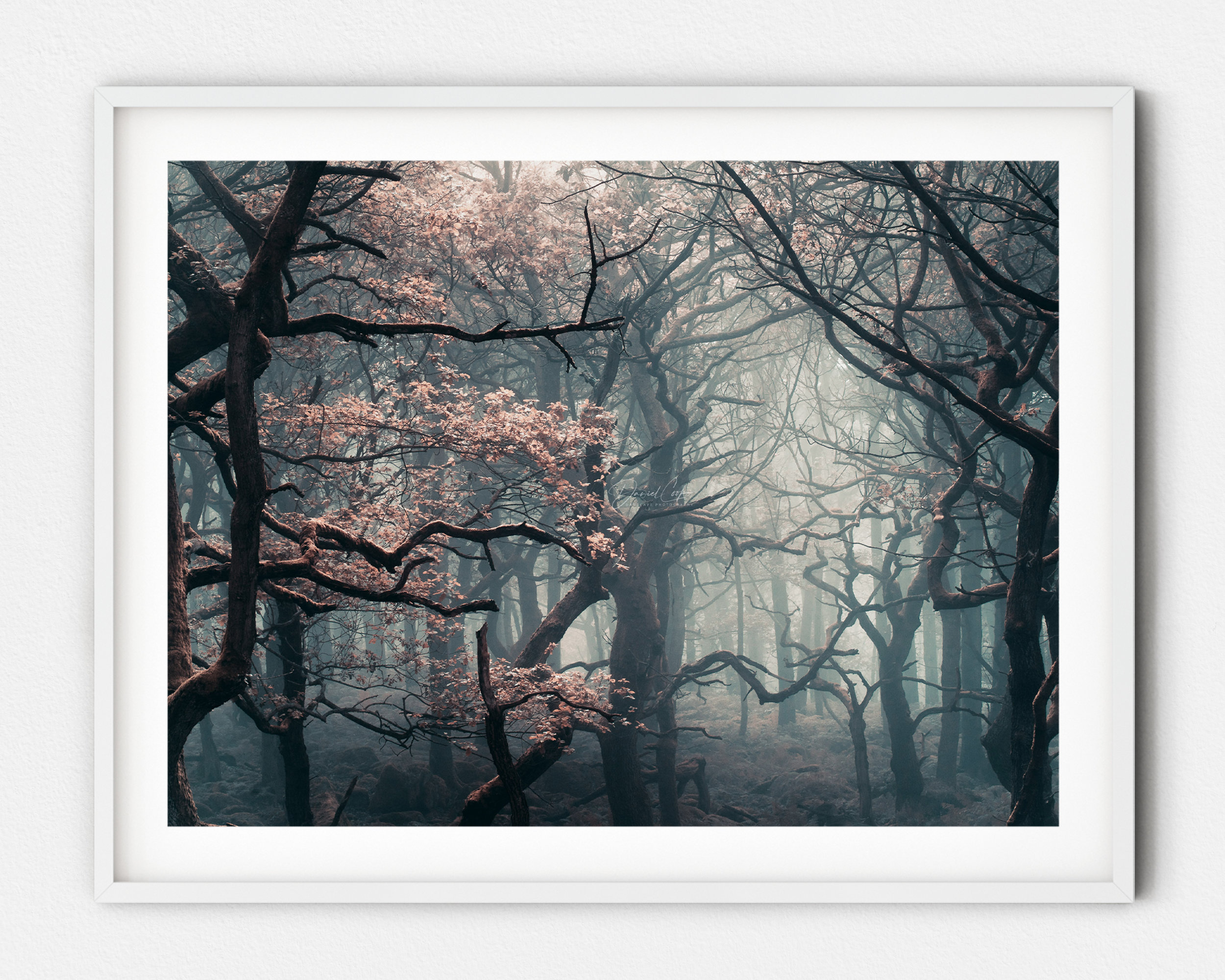 White Frame.jpg