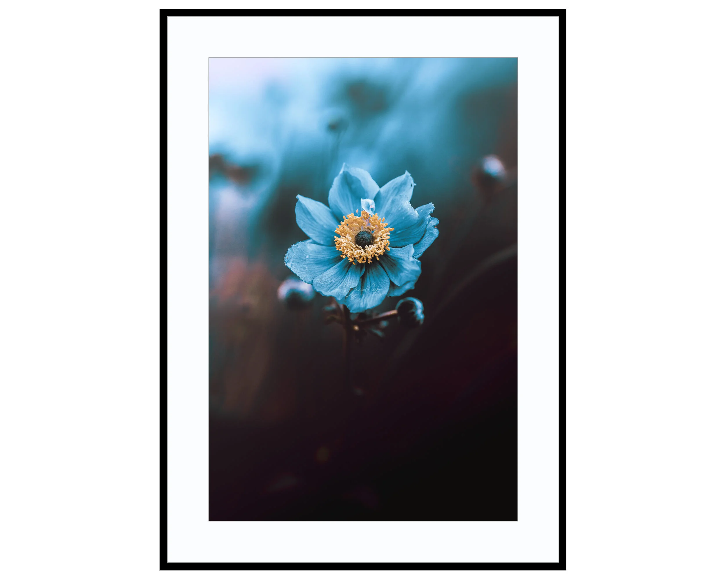 Blue Star
