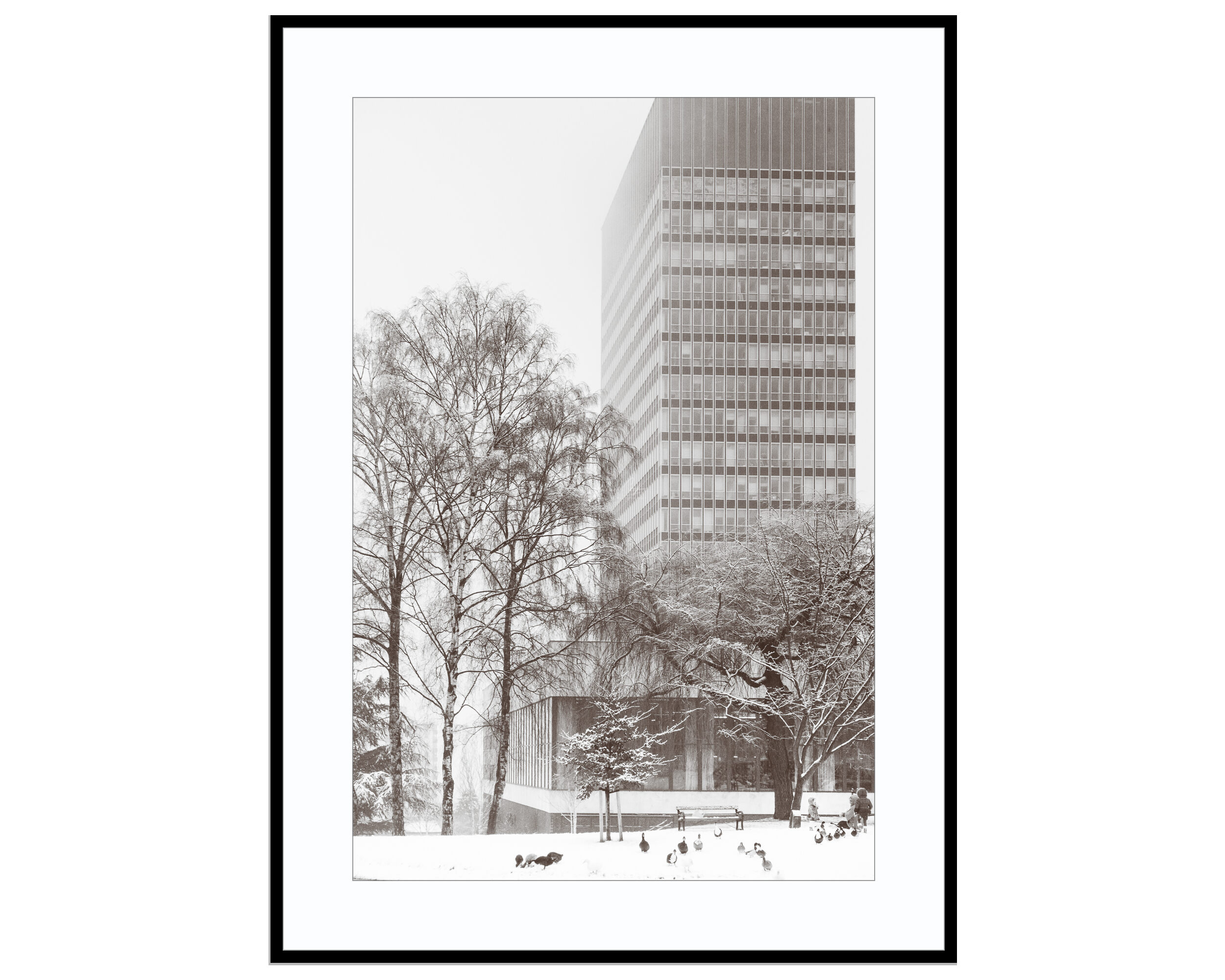 City Park in Snow