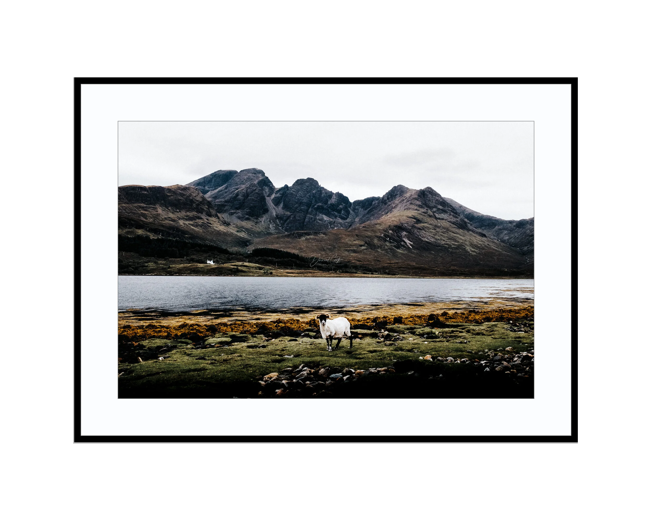 The Sheep & The Mountain