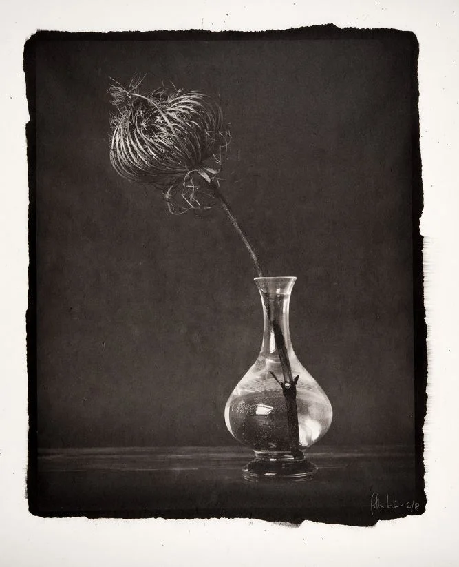  Gilles Lorin  FLOWER STILL LIFE  Platinum-palladium Abzug. 2017 Signiert und numeriert. Auf japanischem Gampi. 350 x 280 mm 