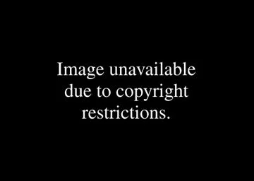   JERRY HALL, NEW YORK CITY 1985  Pigmentdruck. 1985. Abzug von 2011. Signiert, betitelt, datiert, numeriert und bezeichnet. Circa 290 x 295 mm 