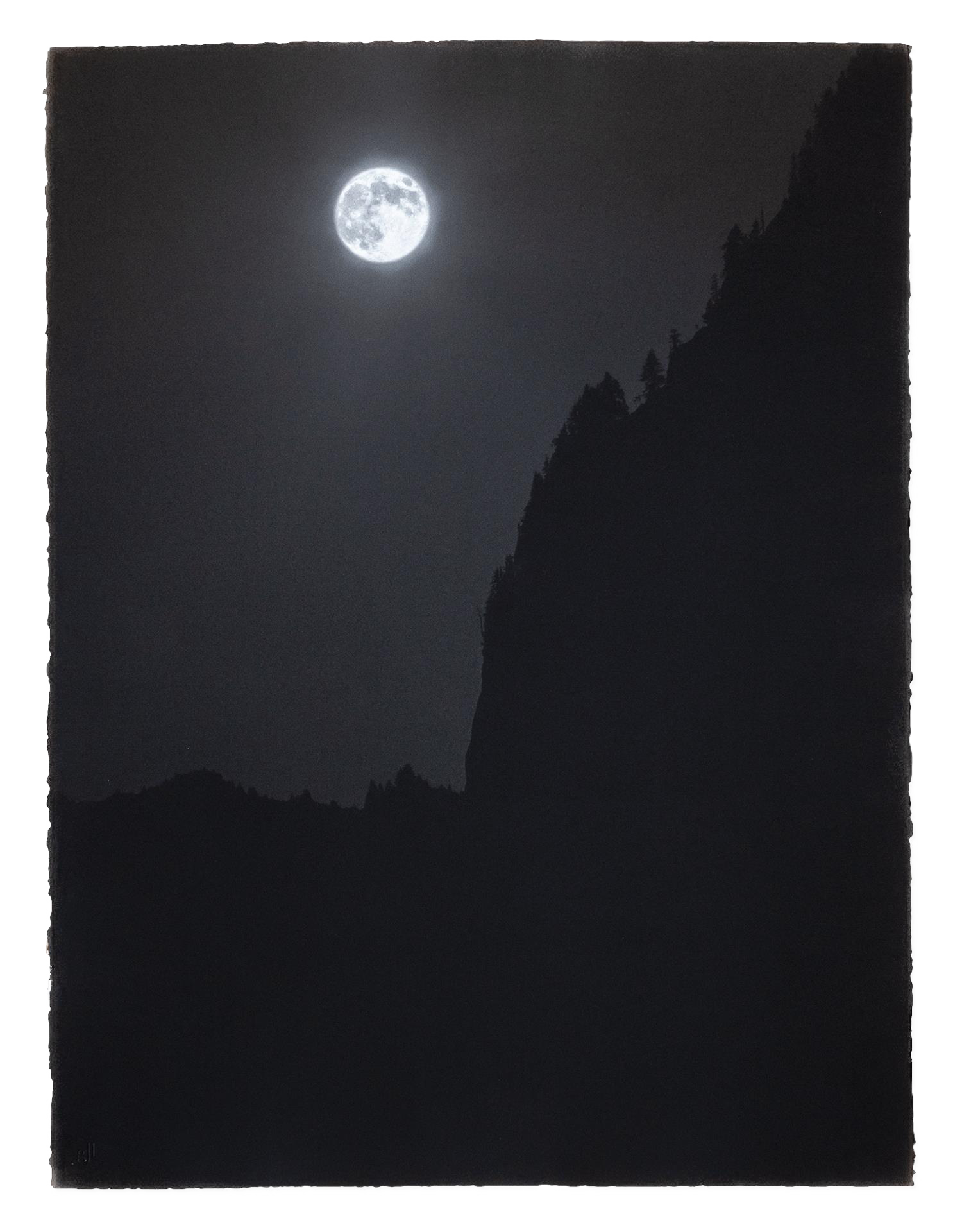 YIN & YANG, NIGHT STUDY  Palladium print. 2018. Signed and numbered. On Arches Platine. 770 x 570 mm
