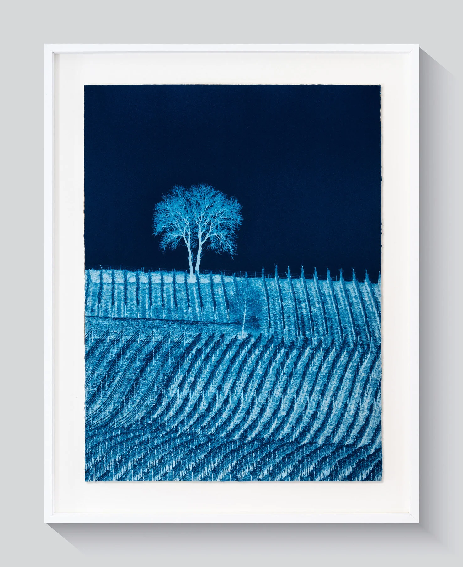Portrait d'Arbre, Prussian Blue Study No. 2, 2016