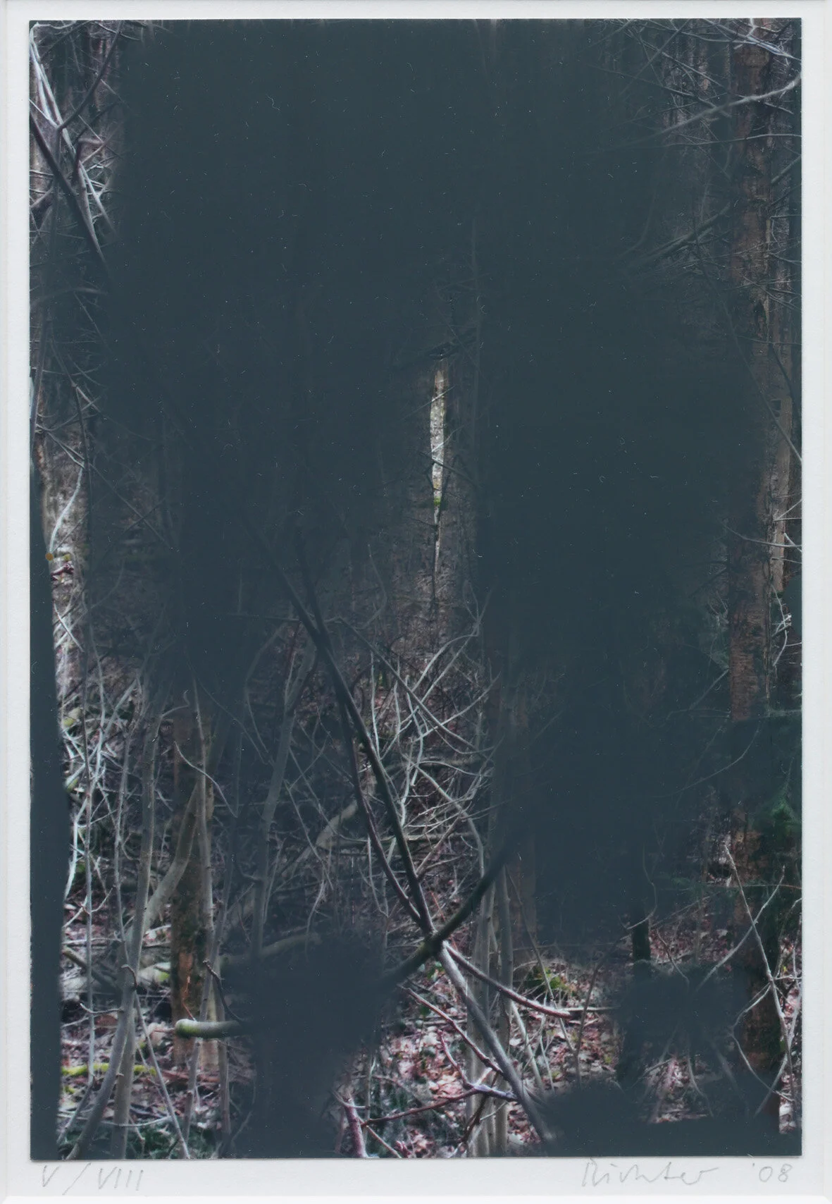   WALD II  Artist book. 2008. The color-photograph  is overworked with oil. Signed and dated in pencil, numbered on the reverse. Framed. The artist book is signed, dated and numbered in blue pen and ink on the front-end paper. Edition of 80 impressio