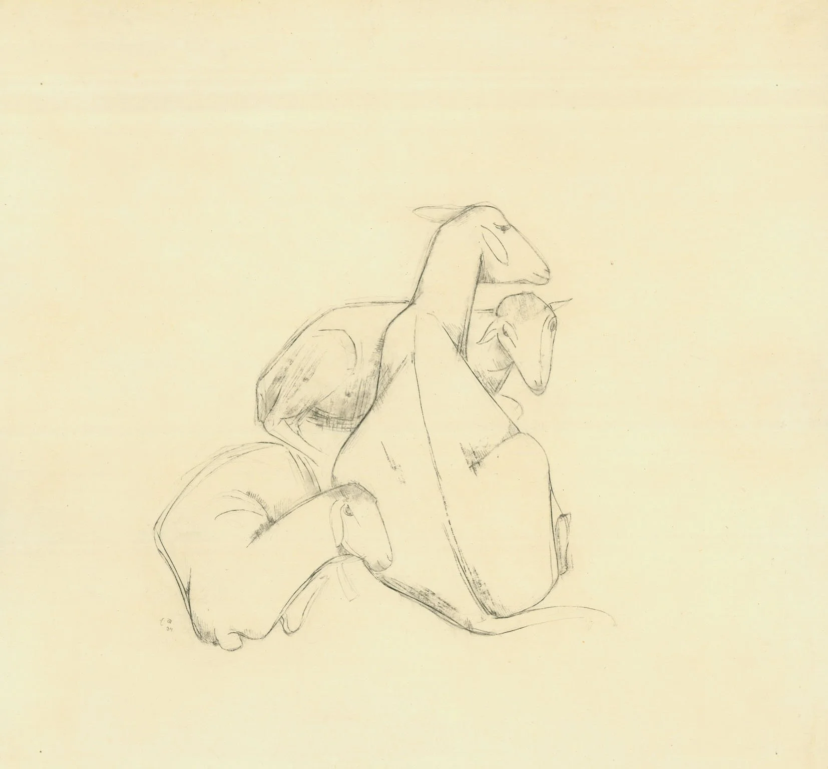  Emy Roeder LIEGENDE SCHAFE Kreidezeichnung. 1934. 250 x 270 mm 