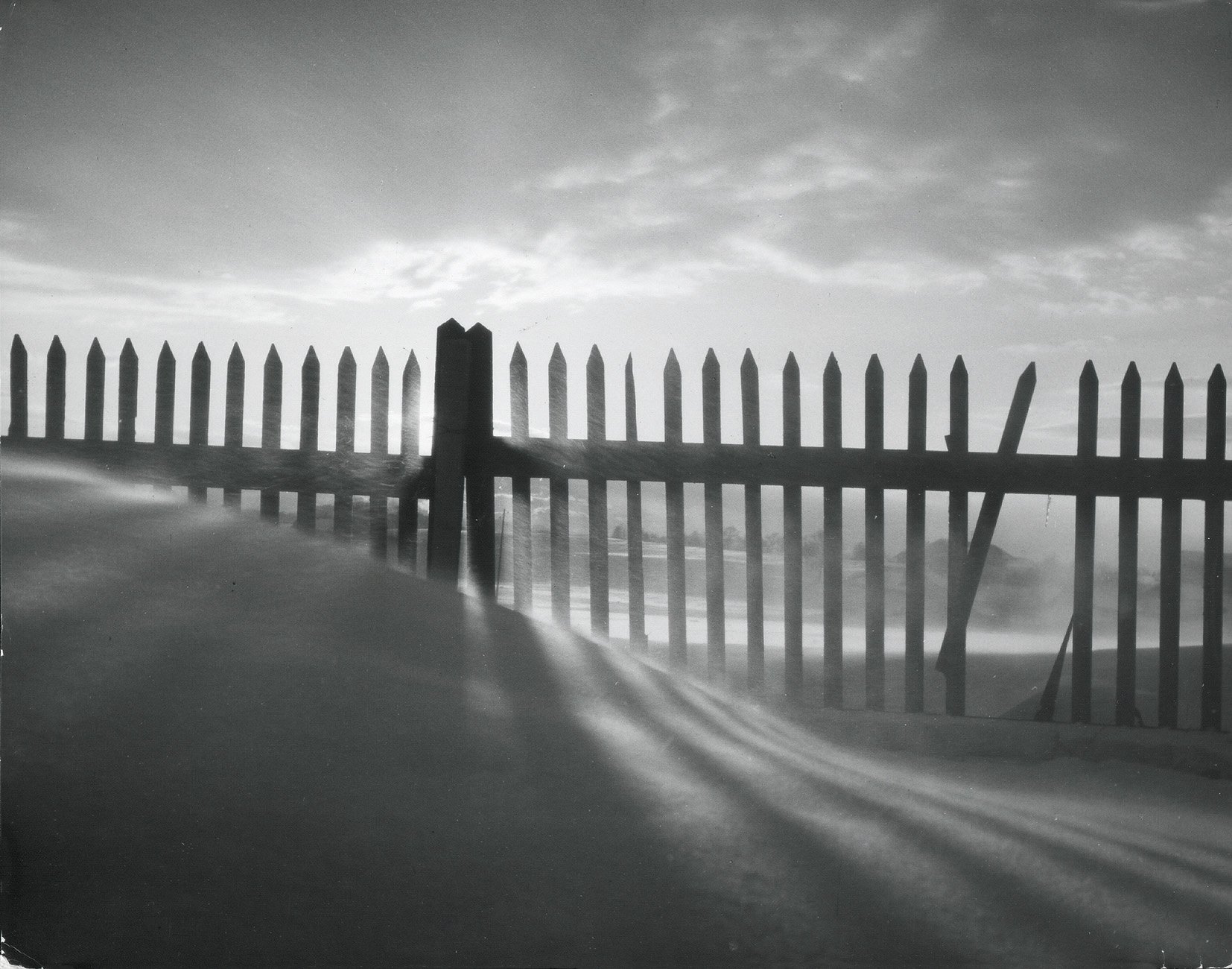 Newsletter January 2026