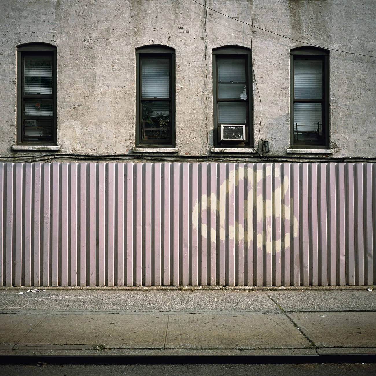 CJ_Fences_11Pink_LJfuji300_8x10F.jpg