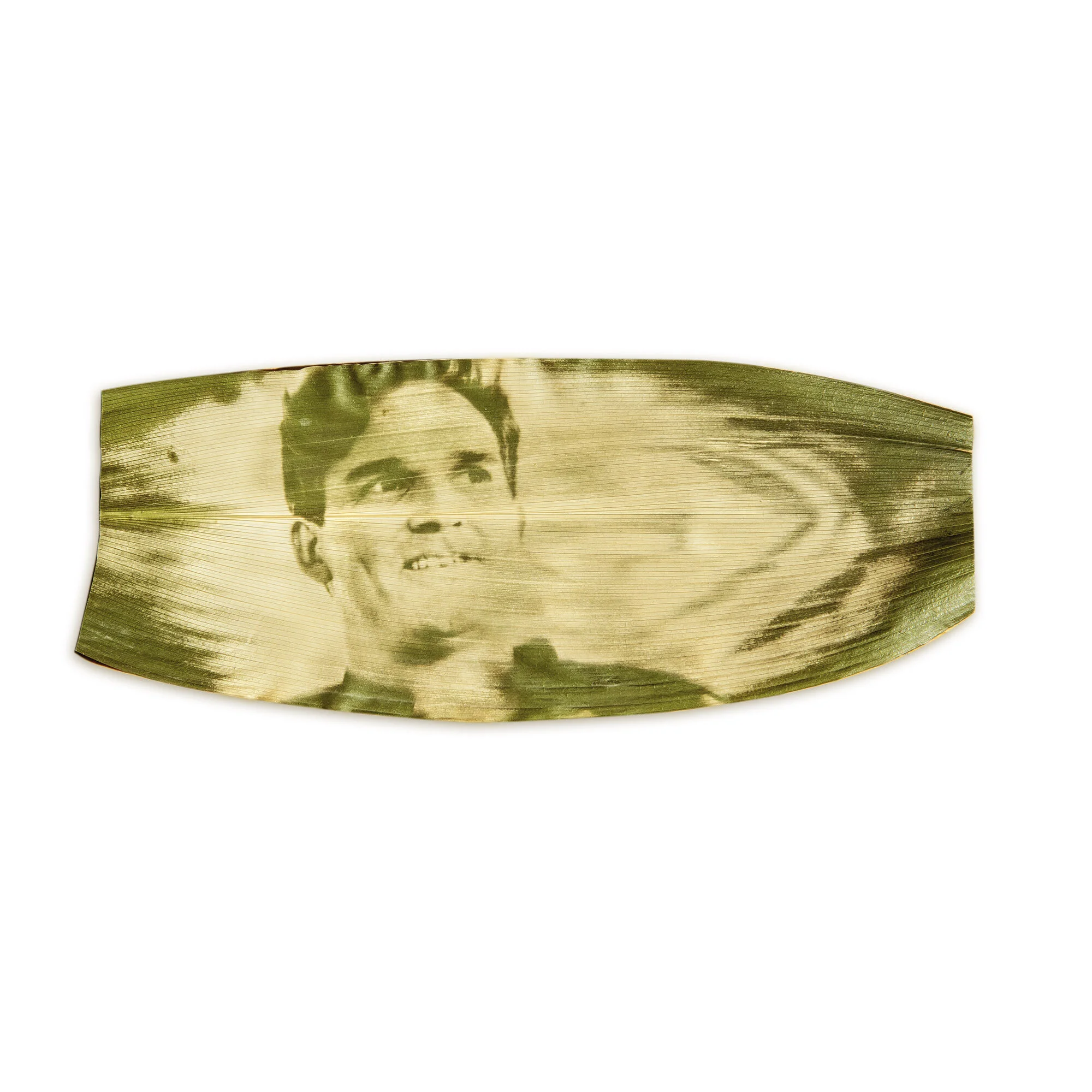  Thijs Biersteker, Fondation Cartier pour l’art contemporain.  Portrait à la Chlorophylle 