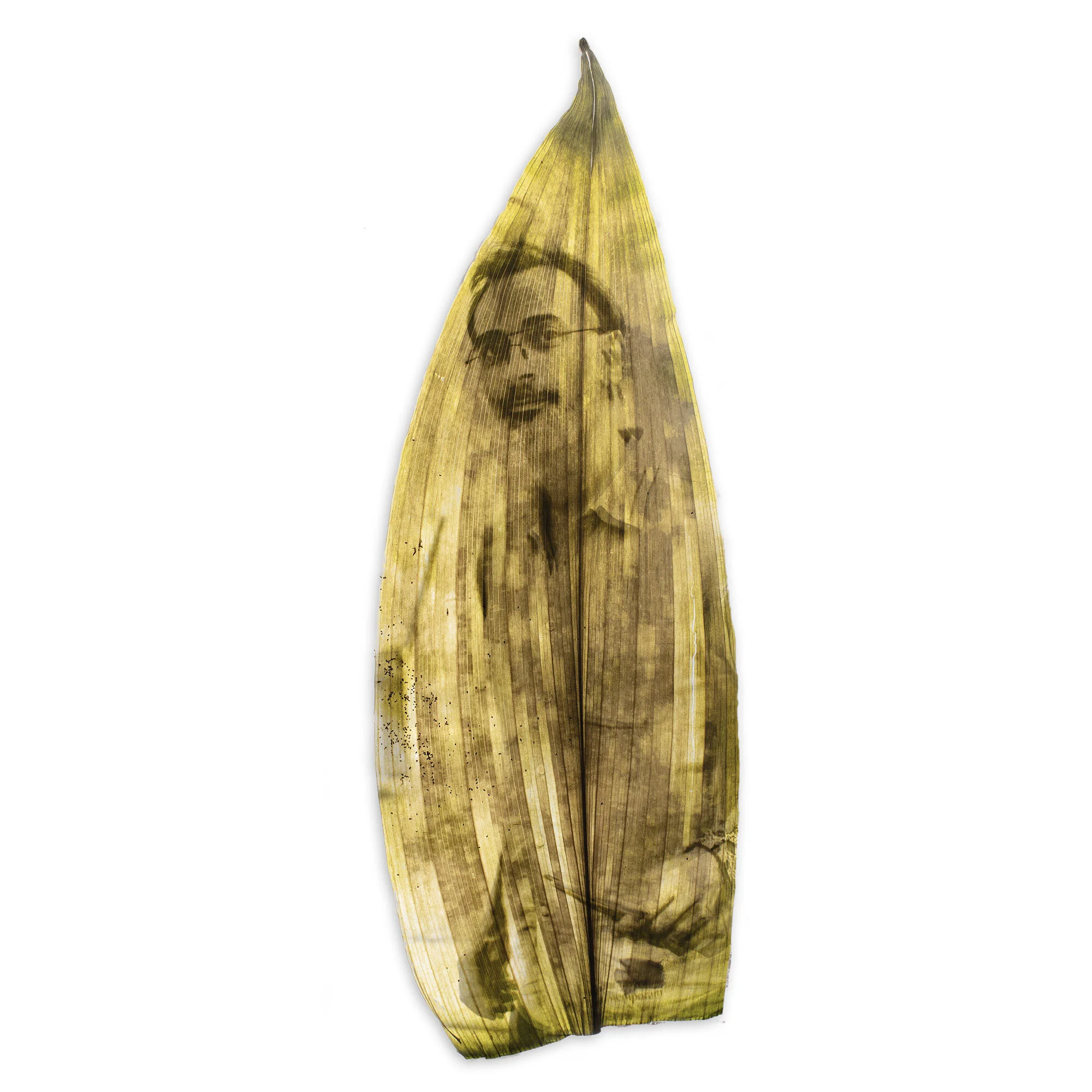  Luiz Zerbini, Fondation Cartier pour l’art contemporain.  Portrait à la Chlorophylle 