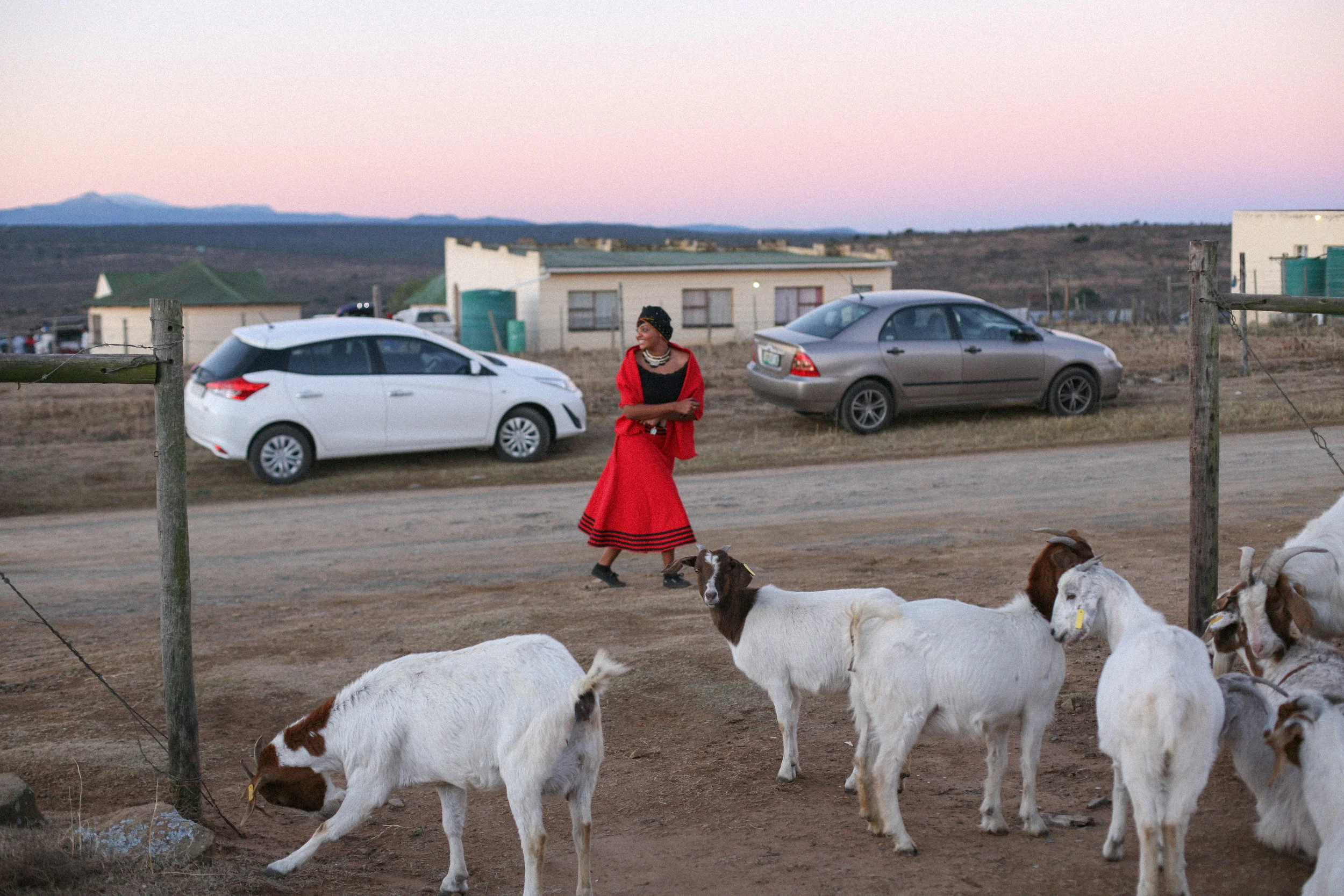 Parallel Worlds, Alice, Eastern Cape, 2018