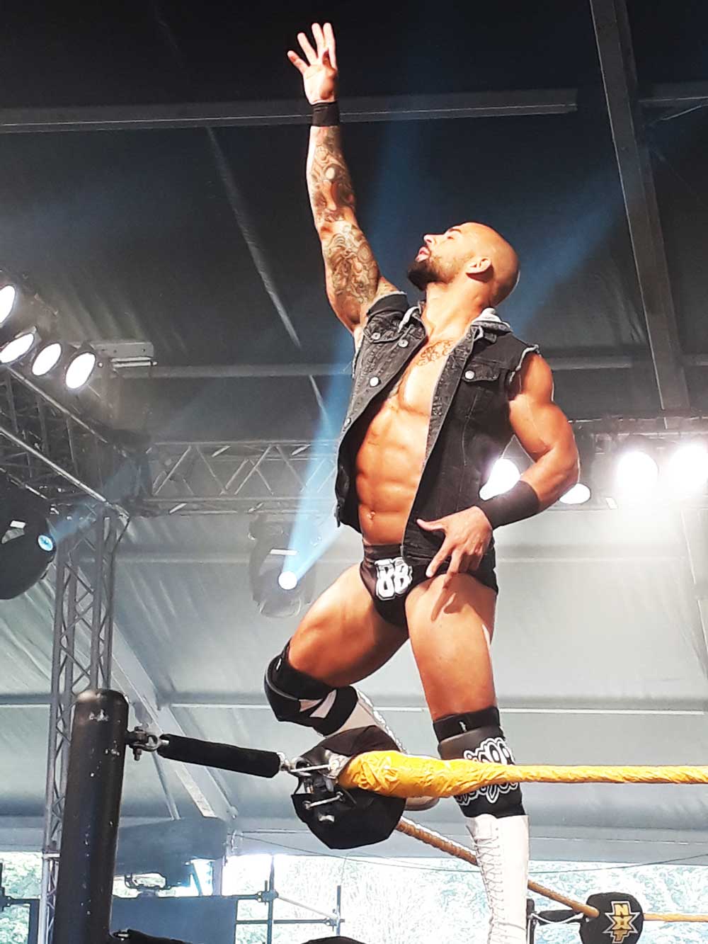 Editor's note: isn't this just the most beautiful picture of Ricochet you have ever seen in your life?