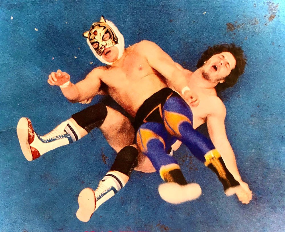 Bret-Hart-Tiger-Mask.jpg