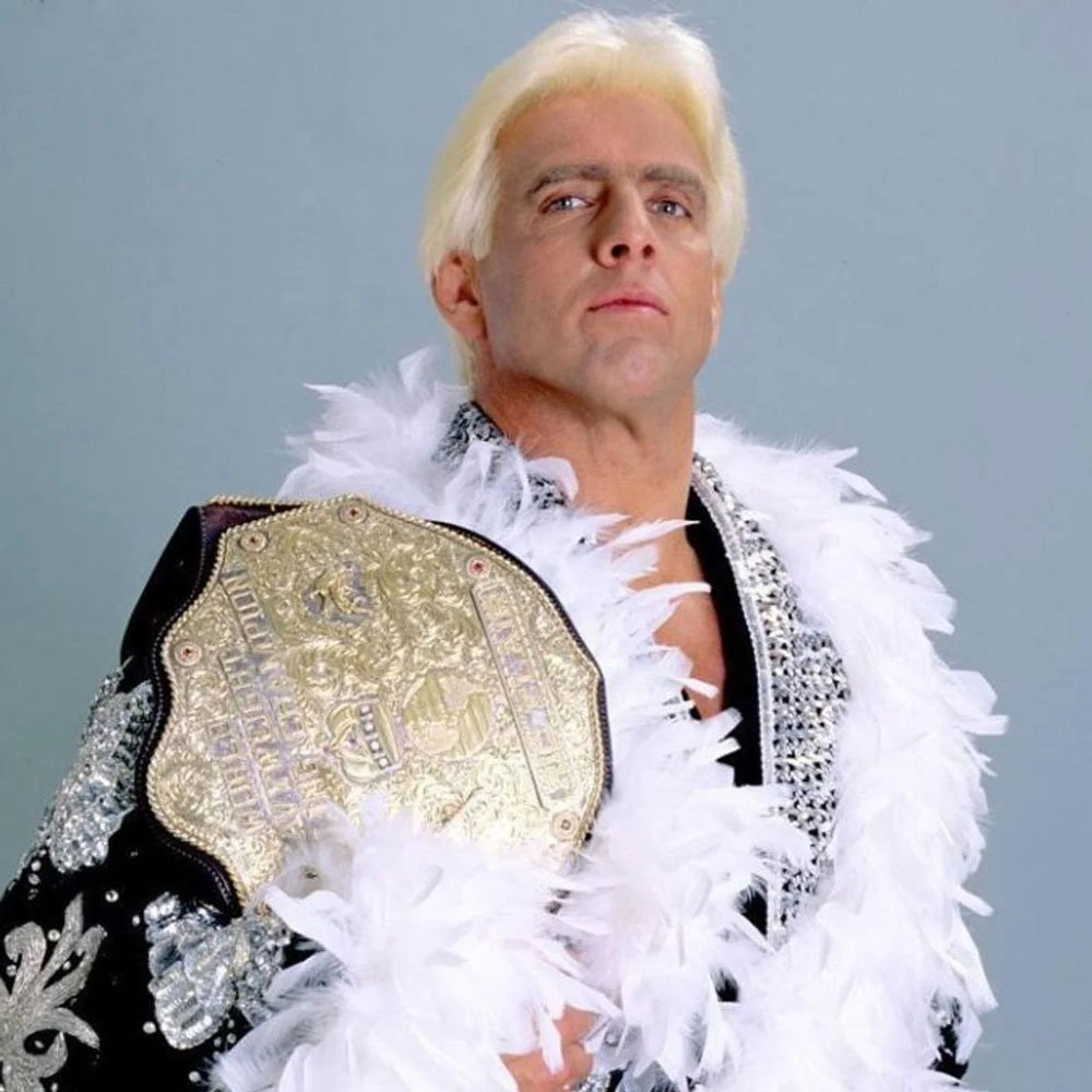 Classic-Ric-Flair.jpg