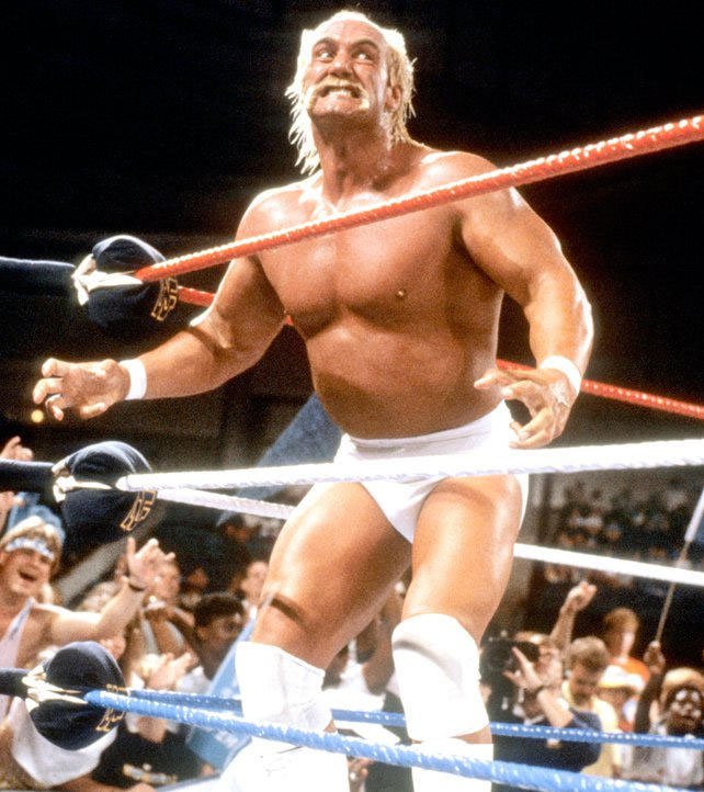 Hulk-Hogan-No-Holds-Barred.jpg