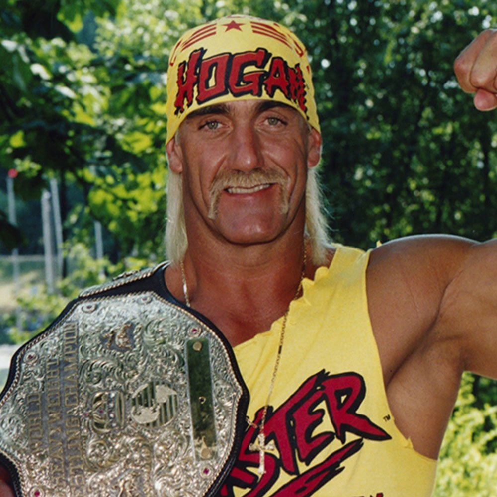 Hulk-Hogan-05.jpg