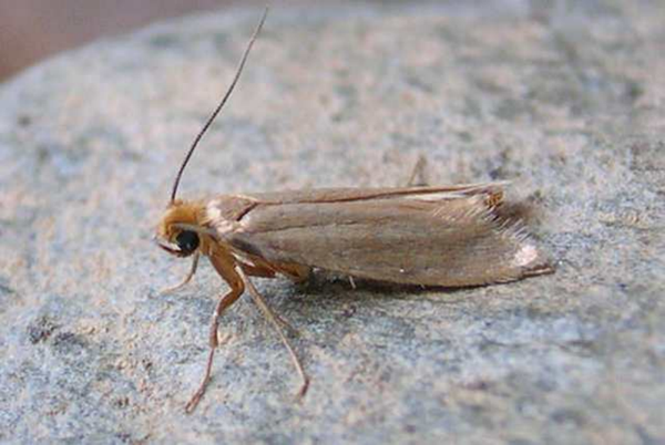 image1.png