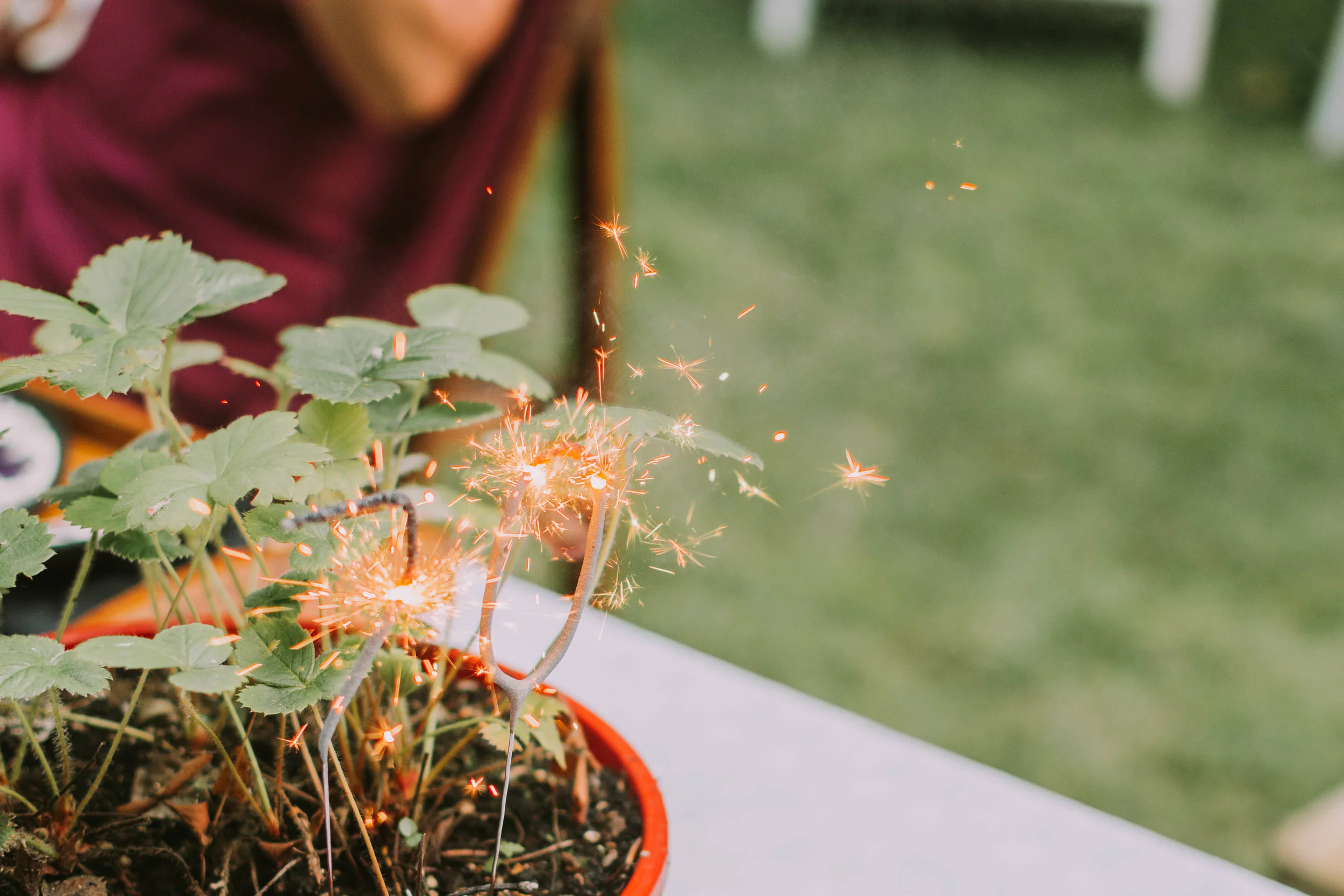 omaopa70 (44 of 92).jpg