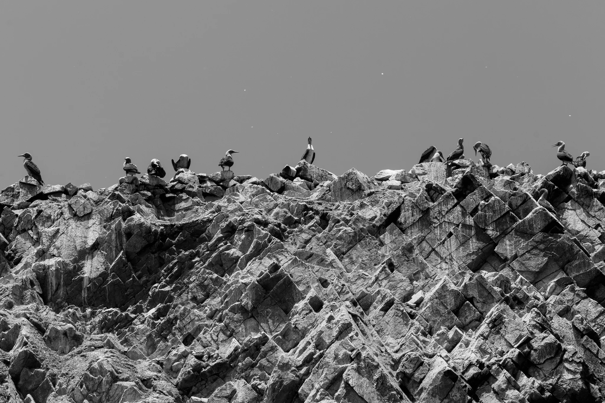 Paisagens Wagner Roger 00016.jpg