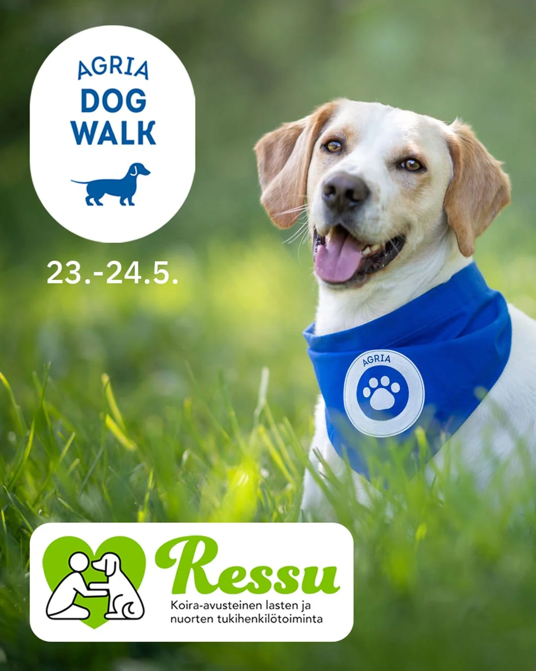 Ressu-toiminta on kevään 2026 Agrua Koirakävelyn hyväntekeväisyyskohde