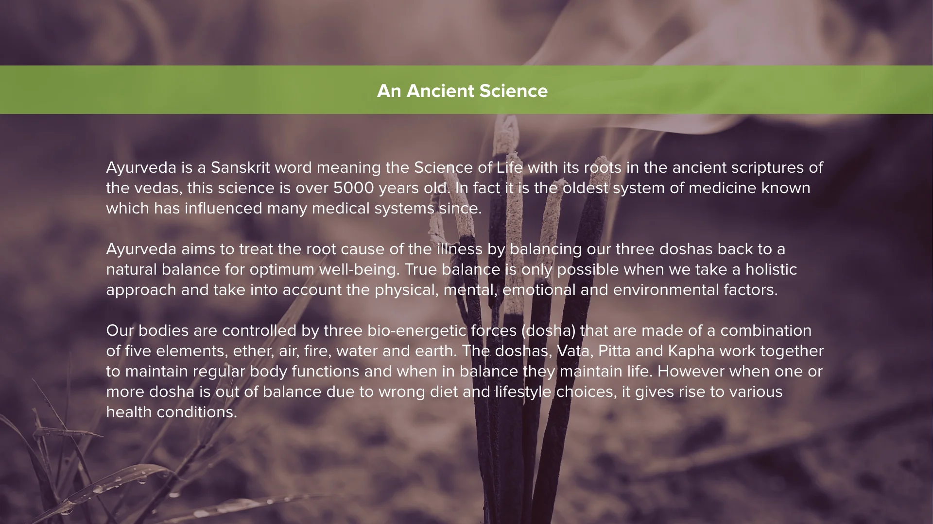 Geeta Vara - About Ayurveda.002.jpeg