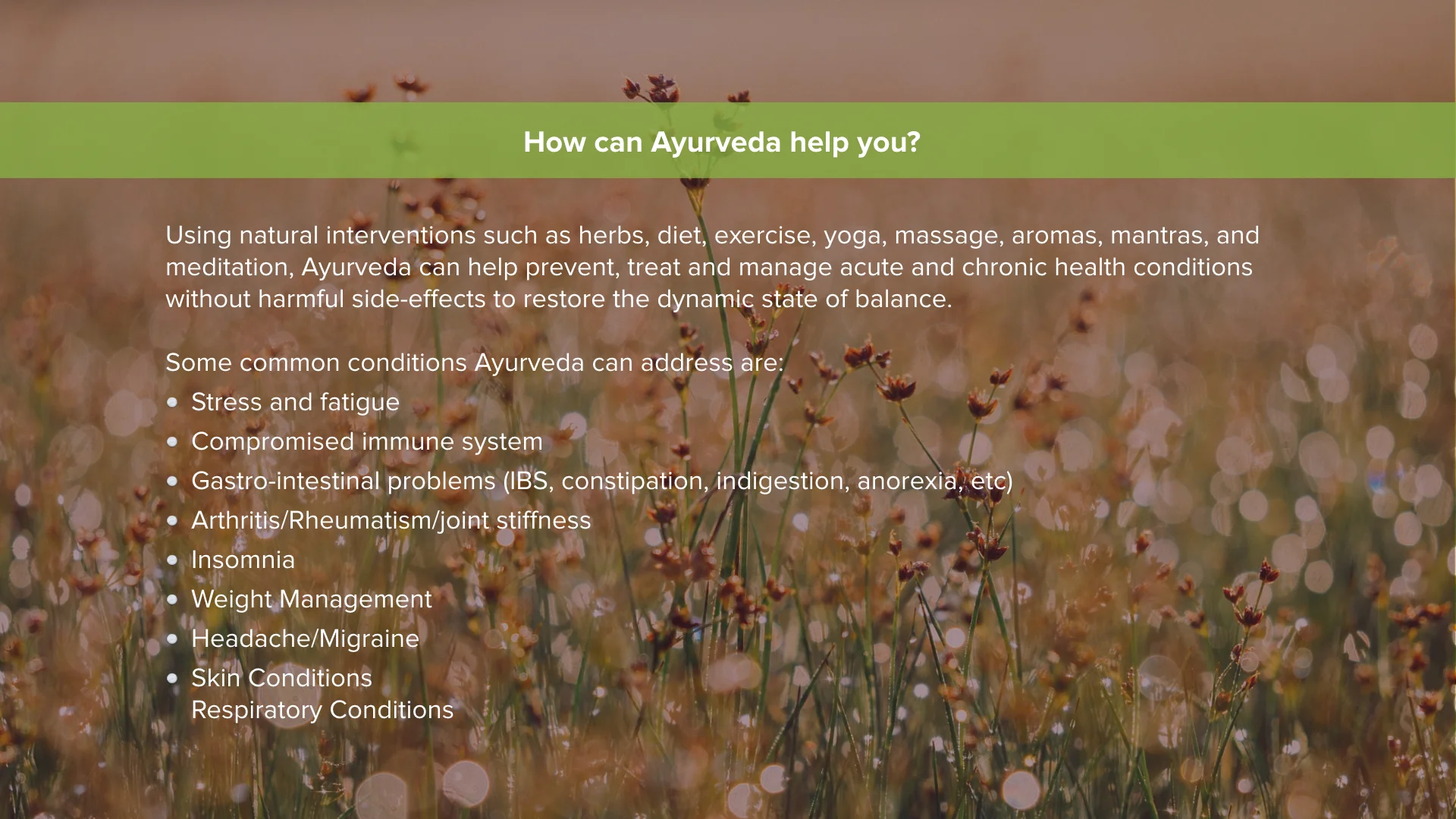 Geeta Vara - About Ayurveda.005.jpeg