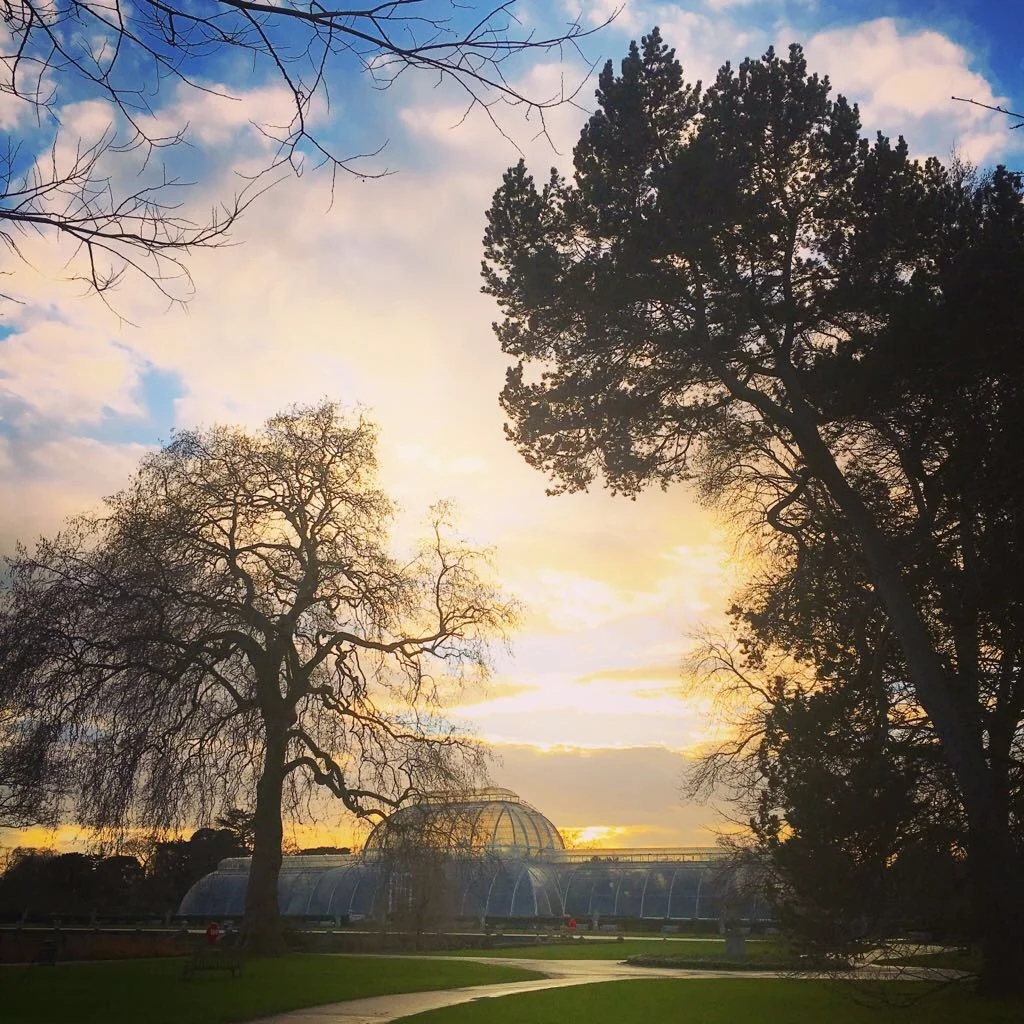 Your Ayurvedic Guide to Winter Wellness