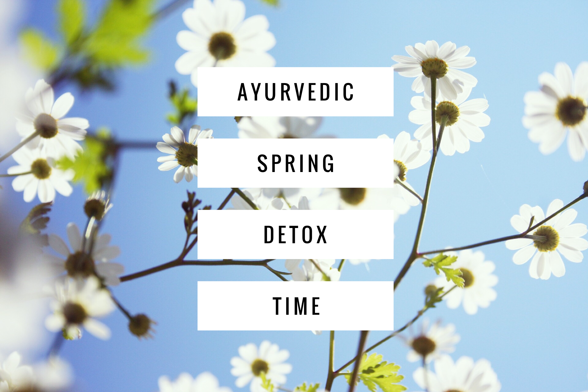 It’s Time to Get Your Ayurvedic Spring Cleanse on