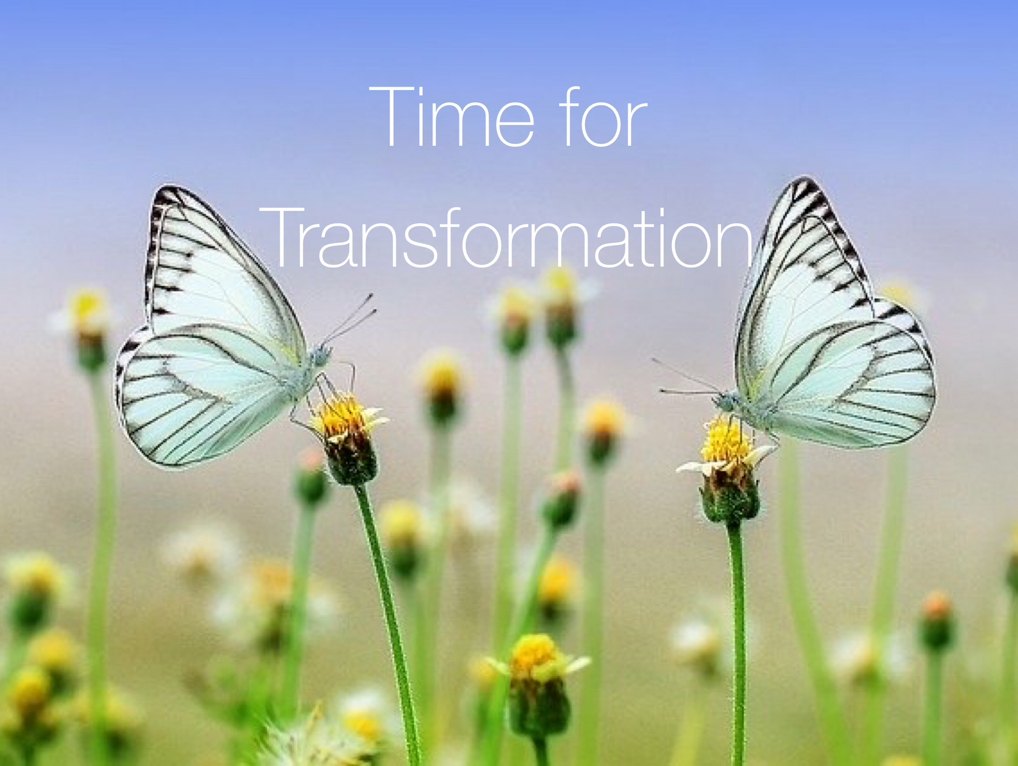 Turn Social-Distancing into Ayurvedic Spring Cleansing