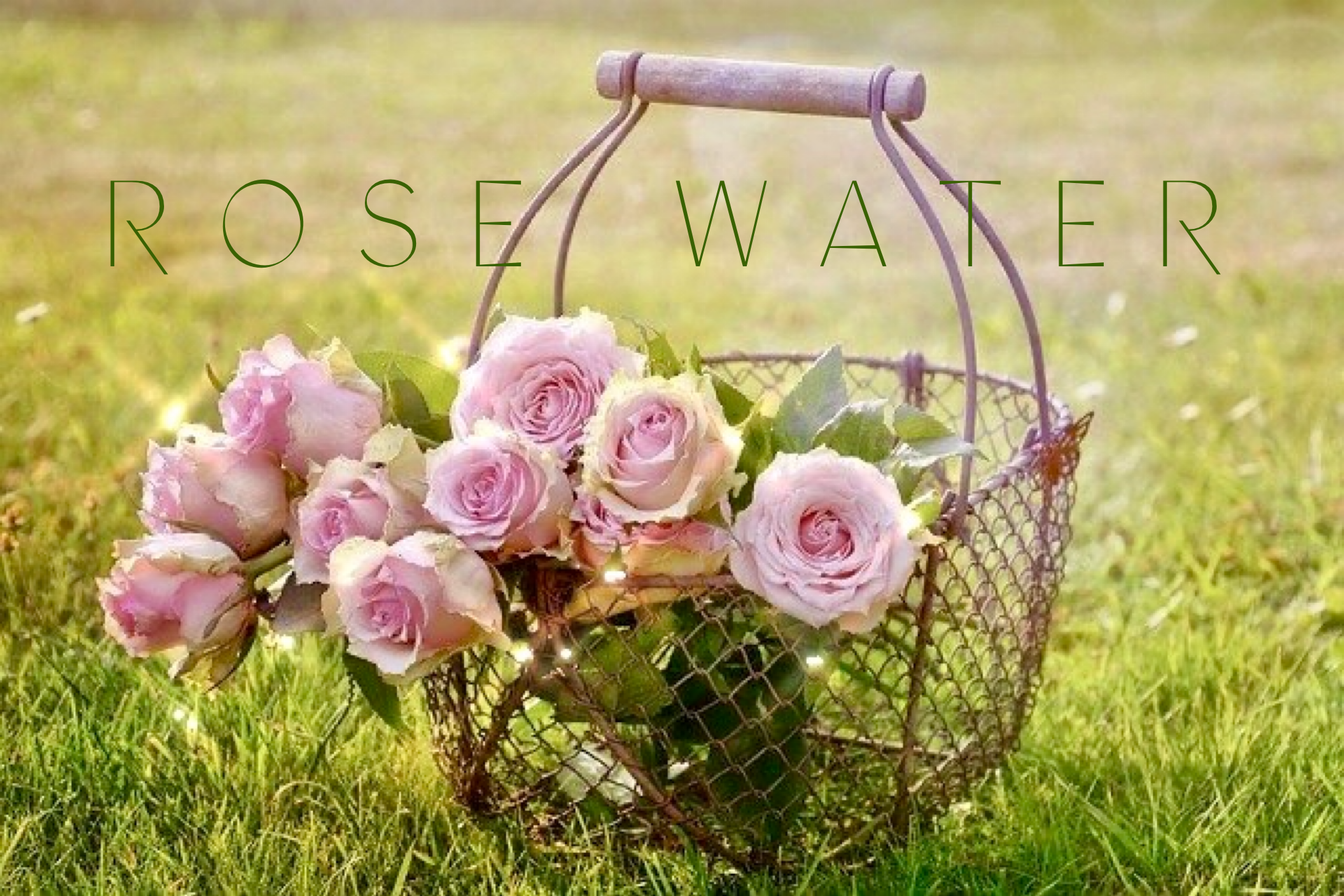 Rose - Water for the soul