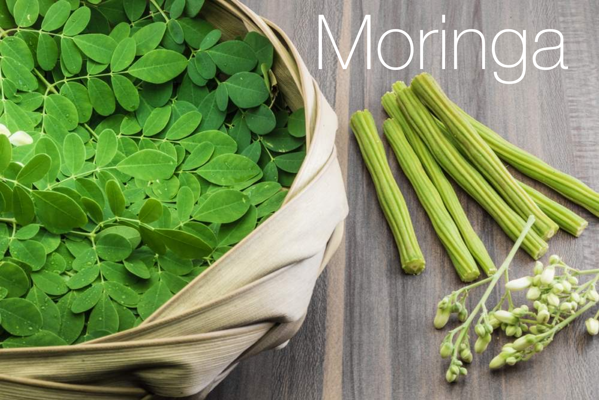 Good moringa to you