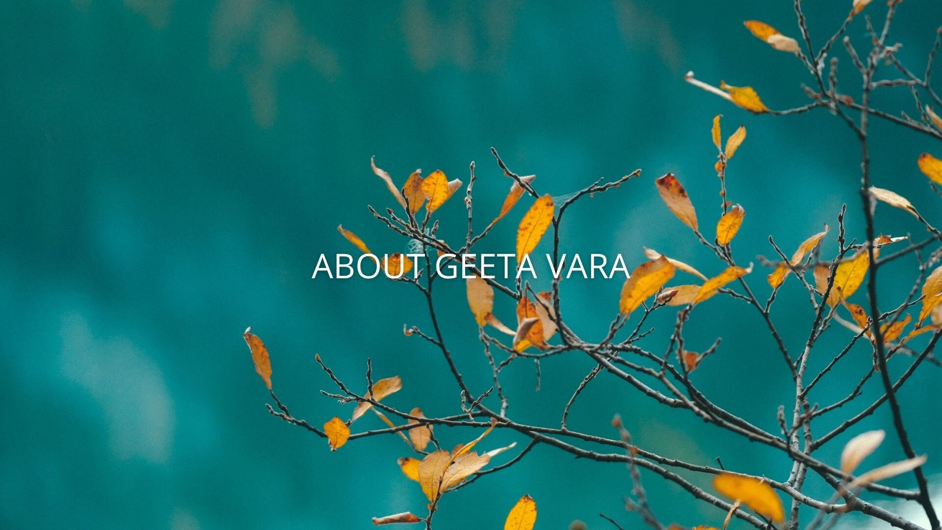 Geeta Website Banner.jpg