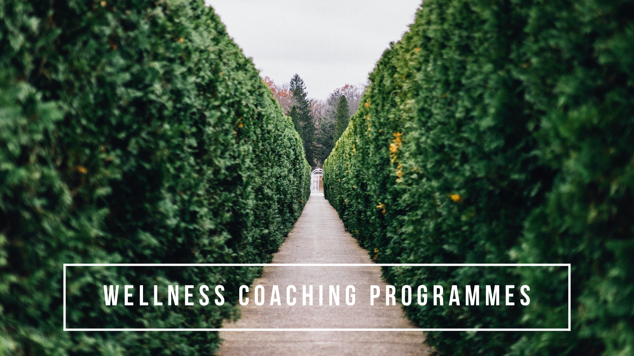Wellness Coaching Programmes
